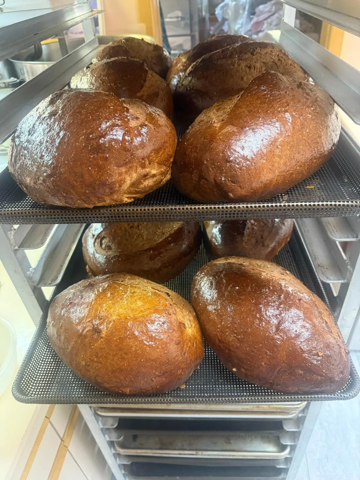 WhatsApp Image 2026-01-18 at 22.08.56 (3).jpeg