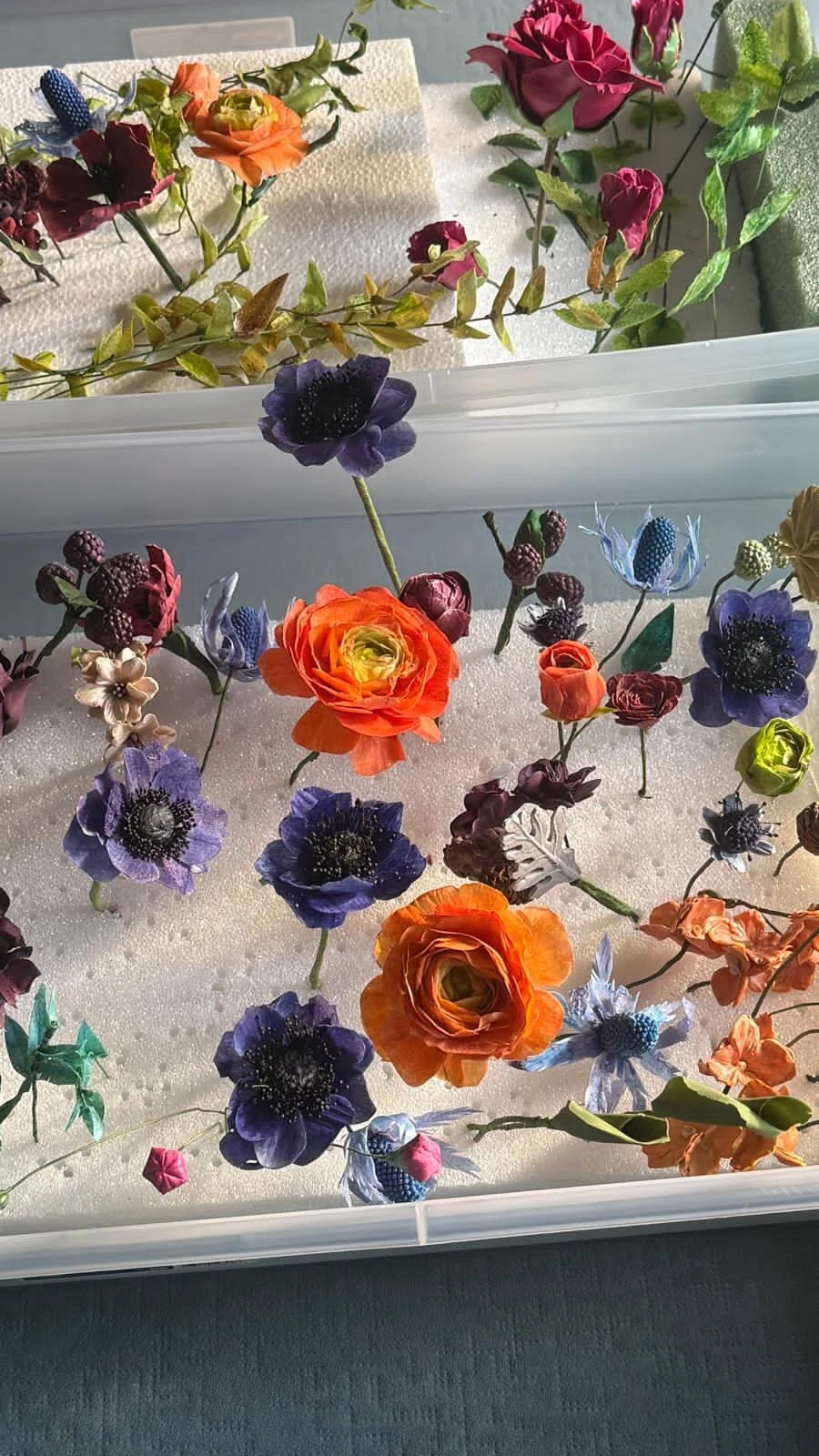 WhatsApp Image 2026-01-18 at 22.20.52 (1).jpeg