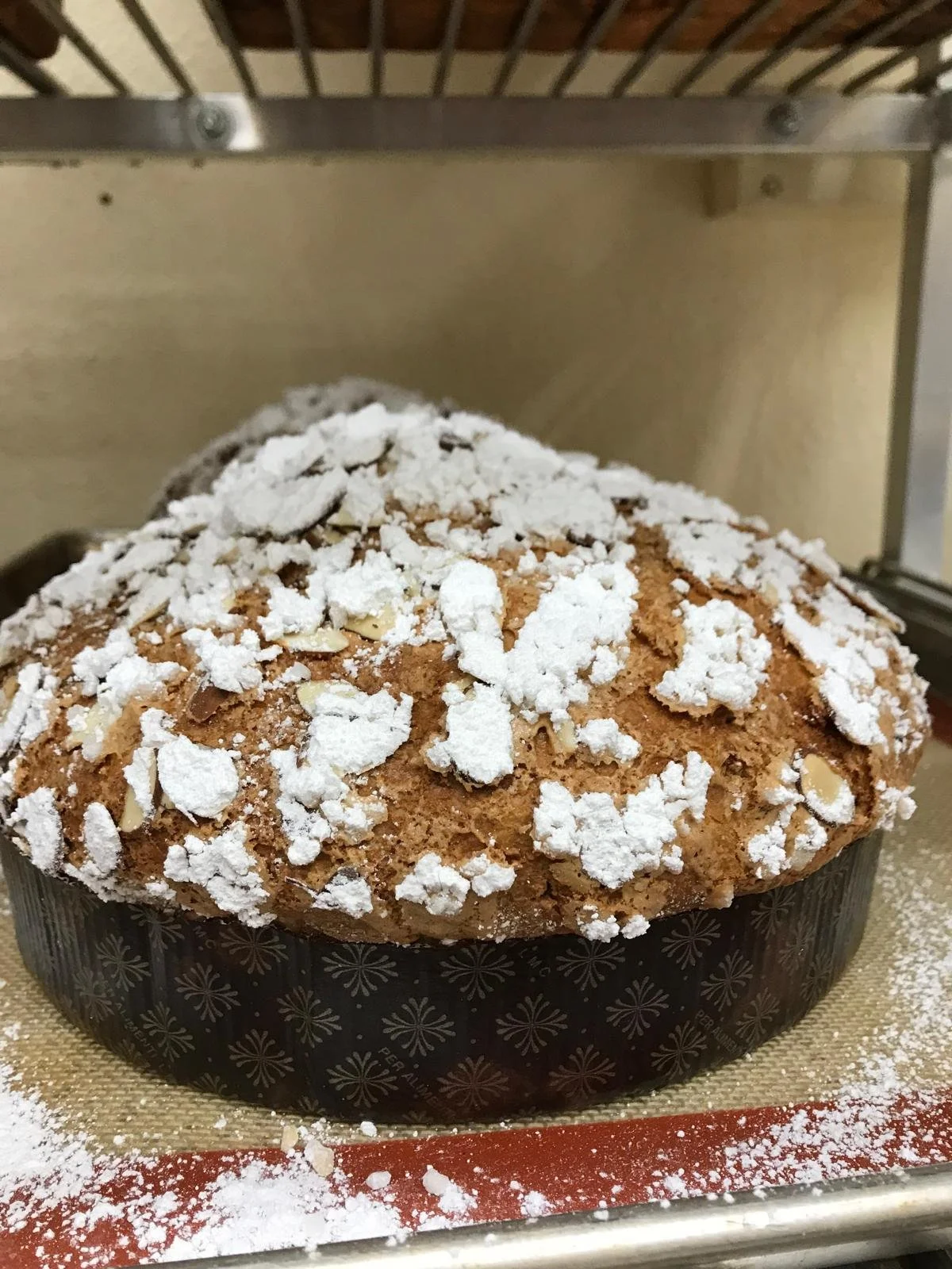 WhatsApp Image 2026-01-18 at 22.13.41 (5).jpeg