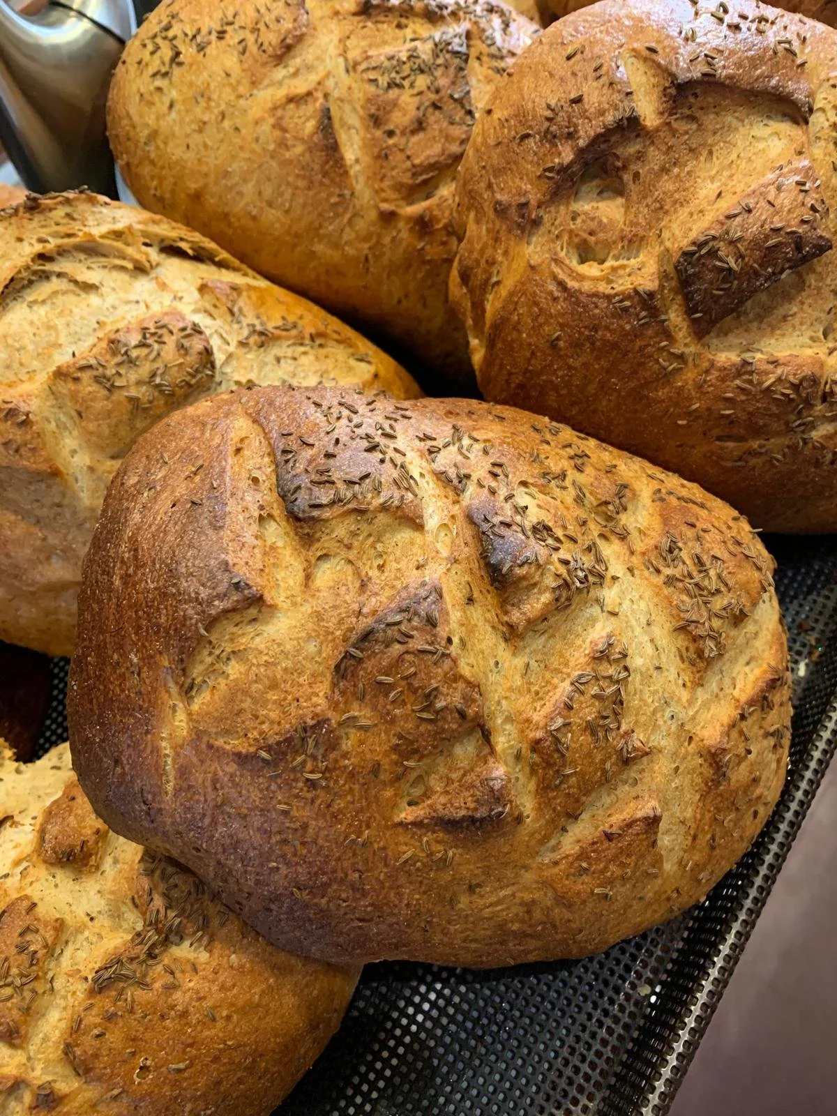 WhatsApp Image 2026-01-18 at 22.13.41.jpeg