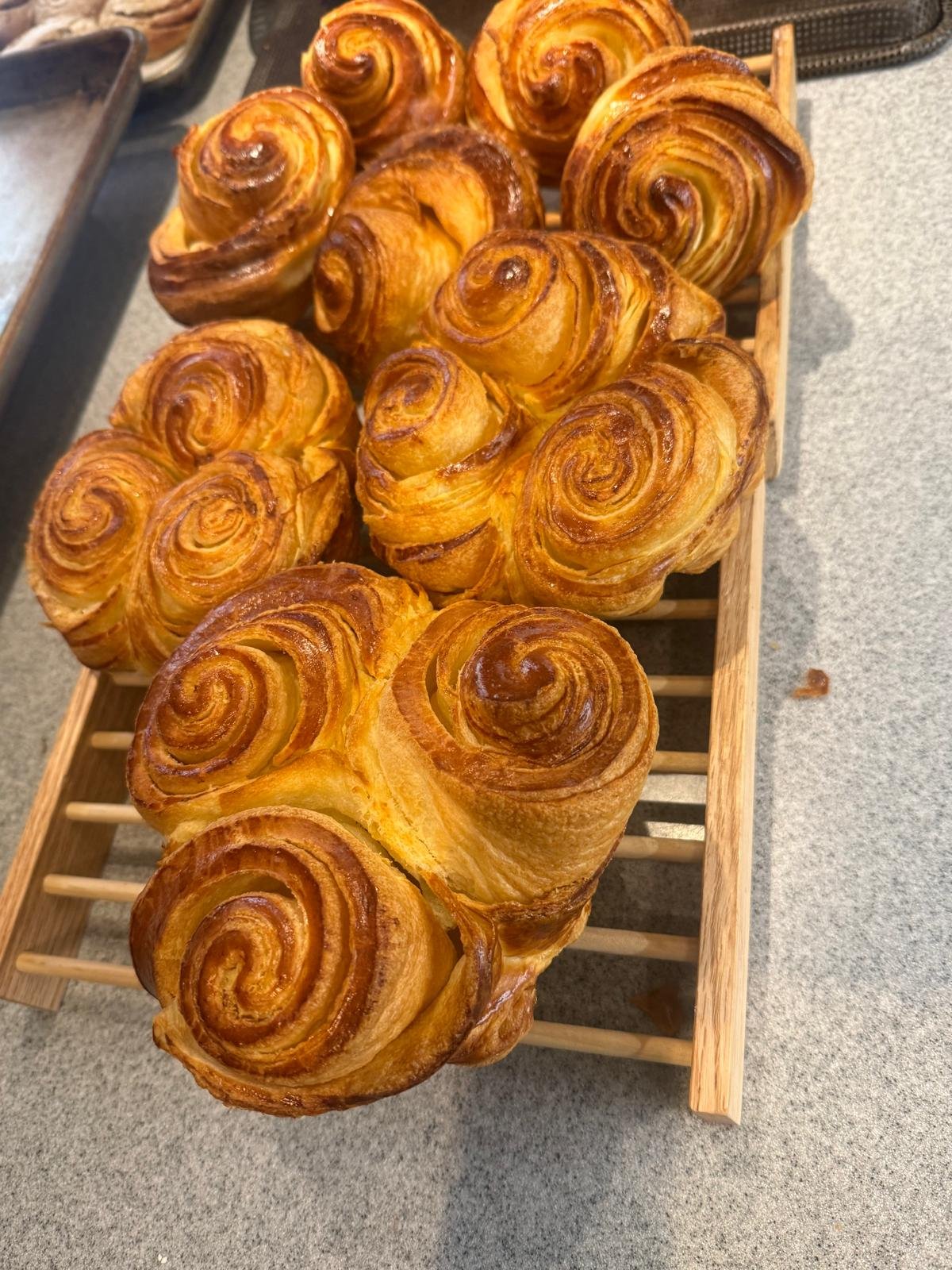 WhatsApp Image 2026-01-18 at 22.18.03.jpeg