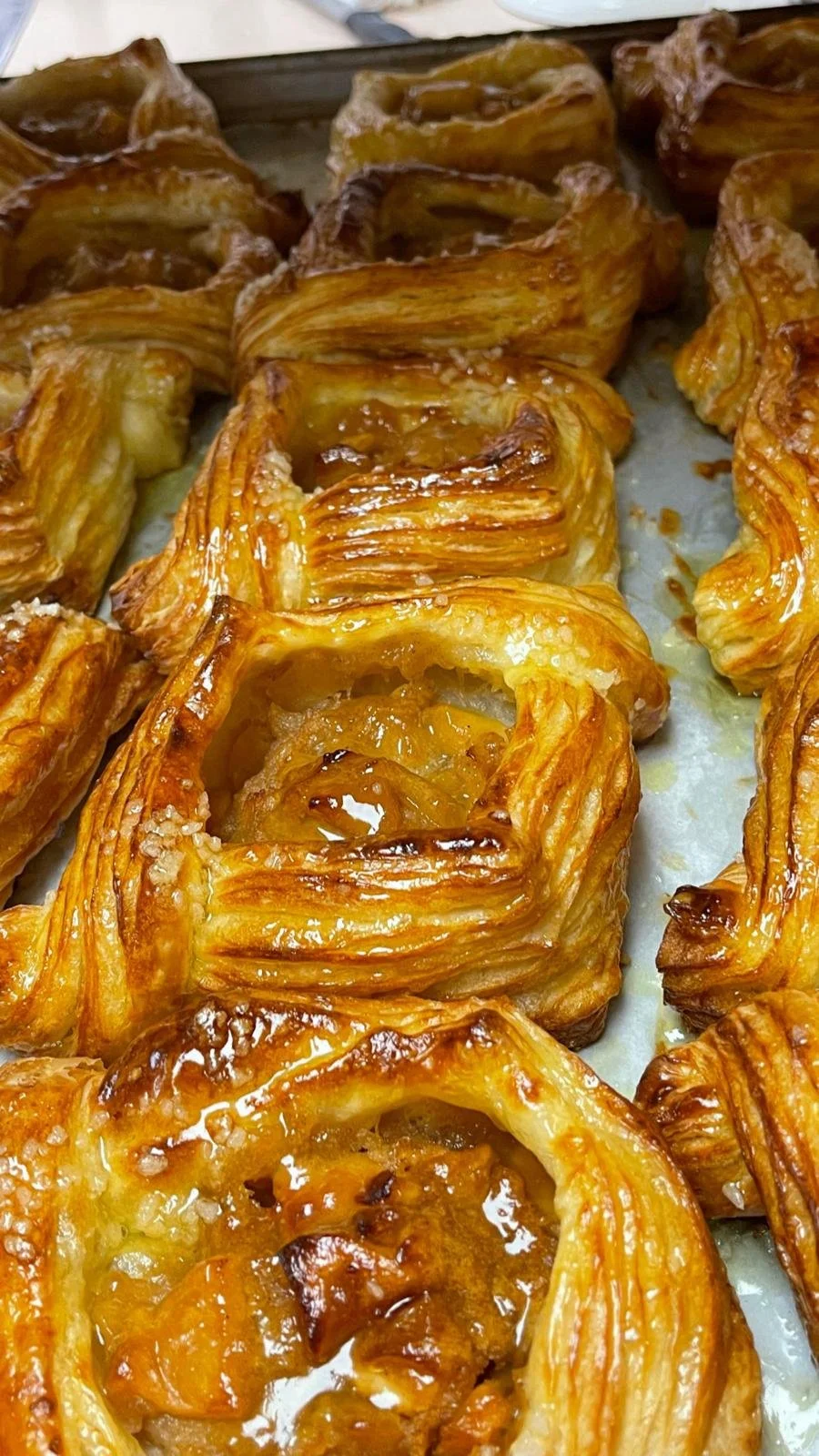 WhatsApp Image 2026-01-18 at 22.18.04 (1).jpeg