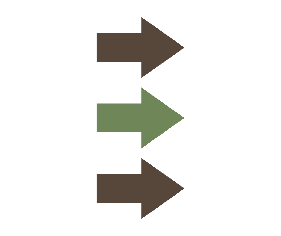 Flowchart with three arrows pointing right, in brown and green colors, indicating a sequential process or steps.