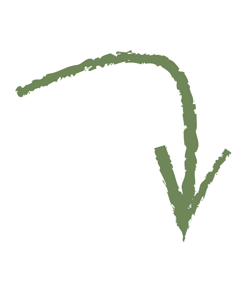 A simple illustration of a sprouting seed with a green stem and small leaves emerging from a black background.