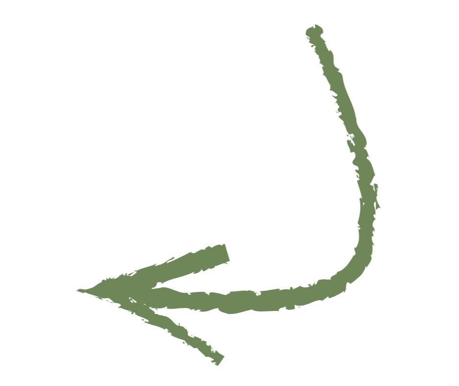 A black background with a green silhouette of a saguaro cactus with multiple arms, oriented sideways.
