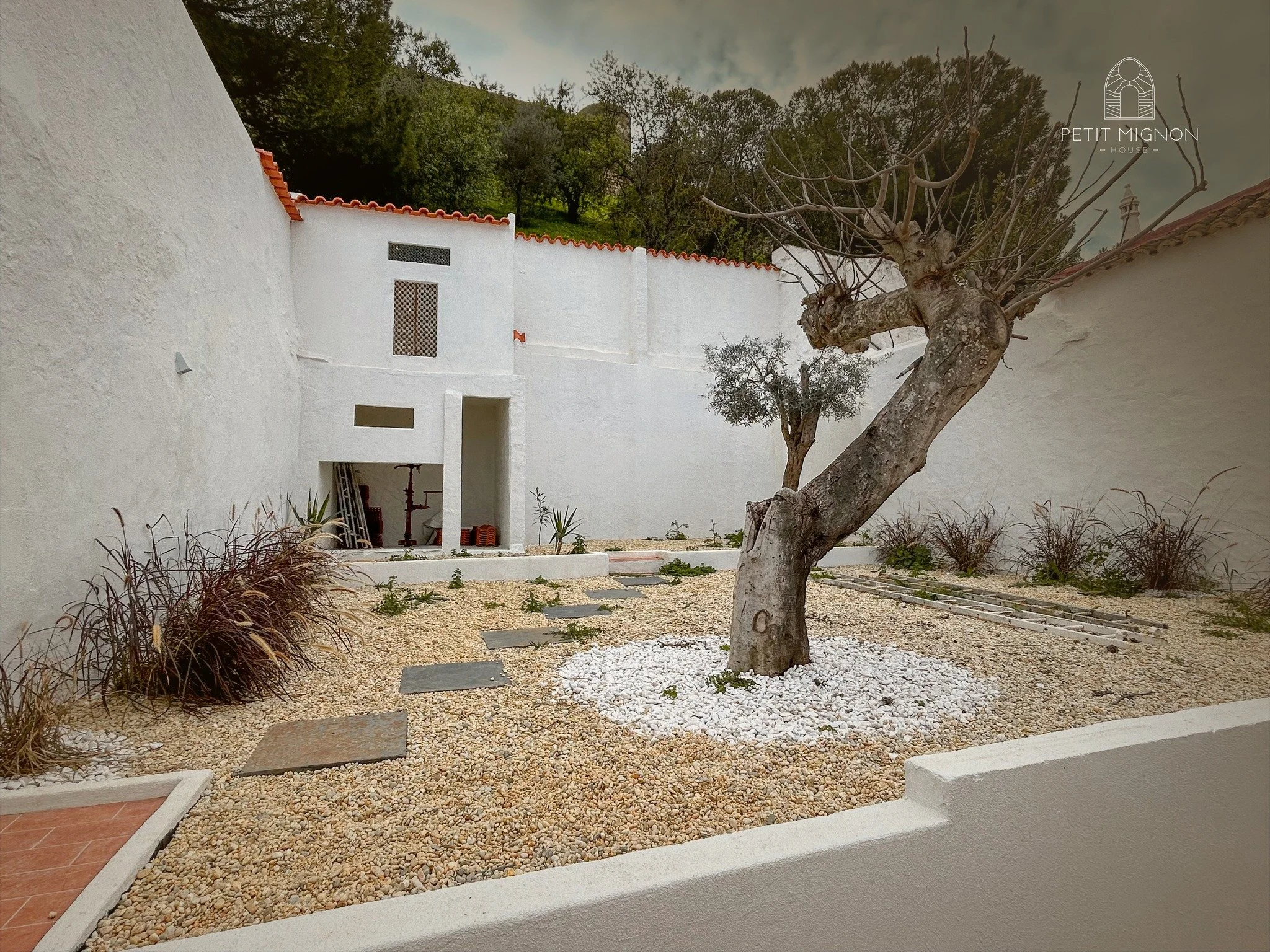 Jardim com parede branca, chão de pedrinhas, árvore sem folhas central, e alguns arbustos ao redor. No fundo, há uma parede alta branca com janelas de grade e uma porta aberta com objetos dentro.