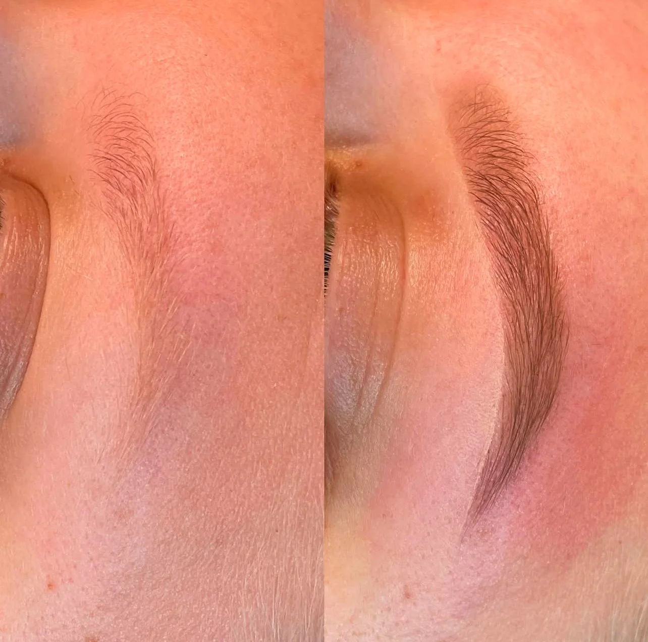 brow wax and tint north richland hills tx