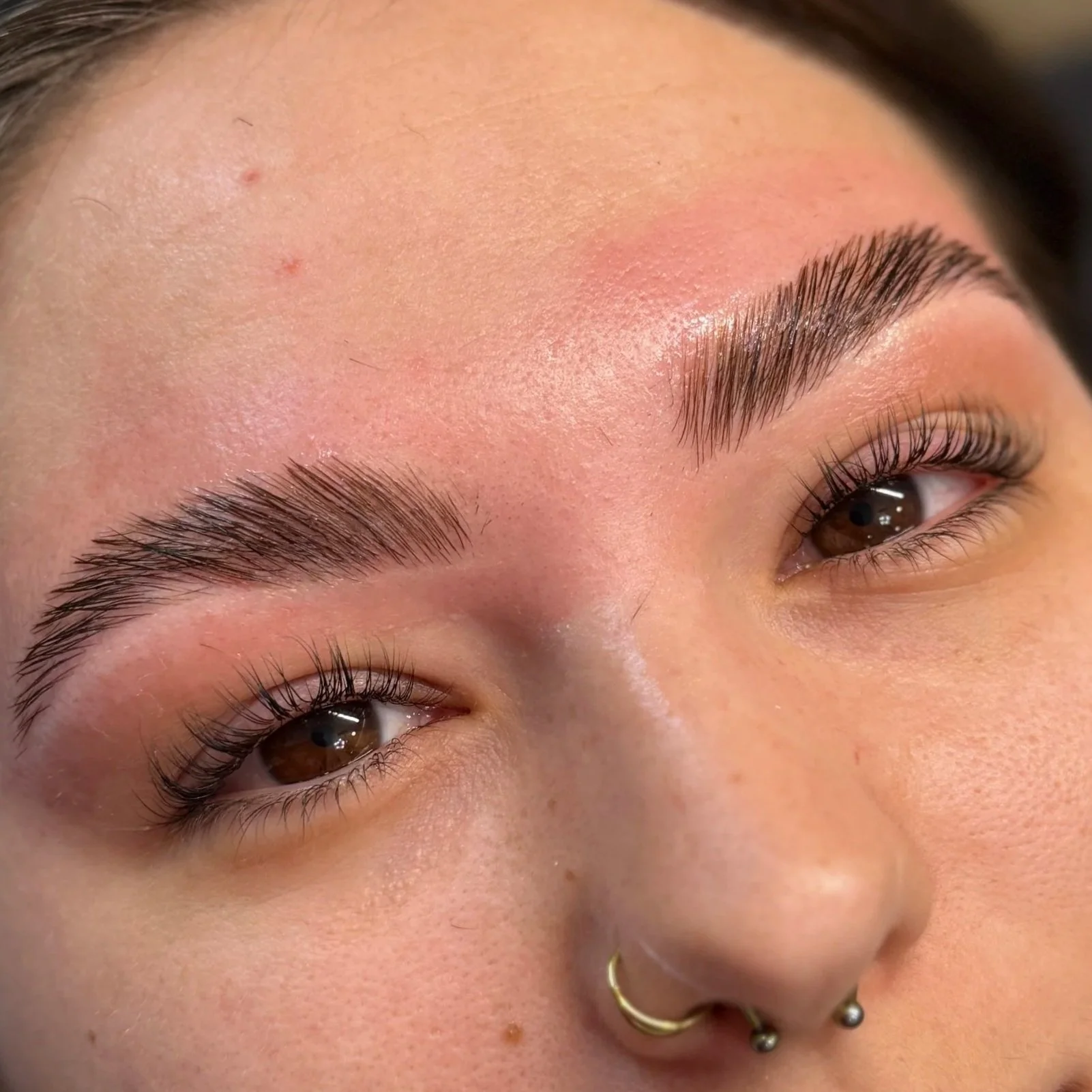 brow lamination and korean lash lash lift north richland hills tx