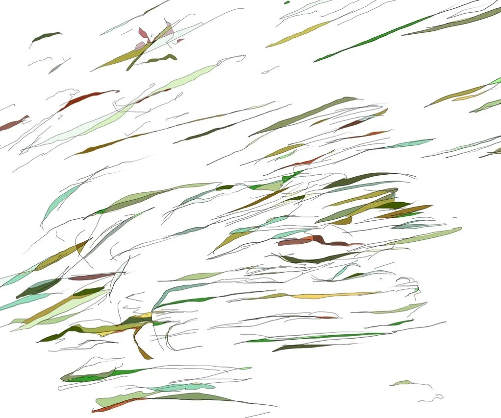  Sea Grass, Crescent Lake, 2022 
  
archival pigment on Hahnemuhle paper 
13.8 x 11.5 in. (image) 
14.8 x 12.5 in. (sheet) 
Edition of 20 with 2 AP's 
Published by Streetside Press
  
For more information, contact the artist 