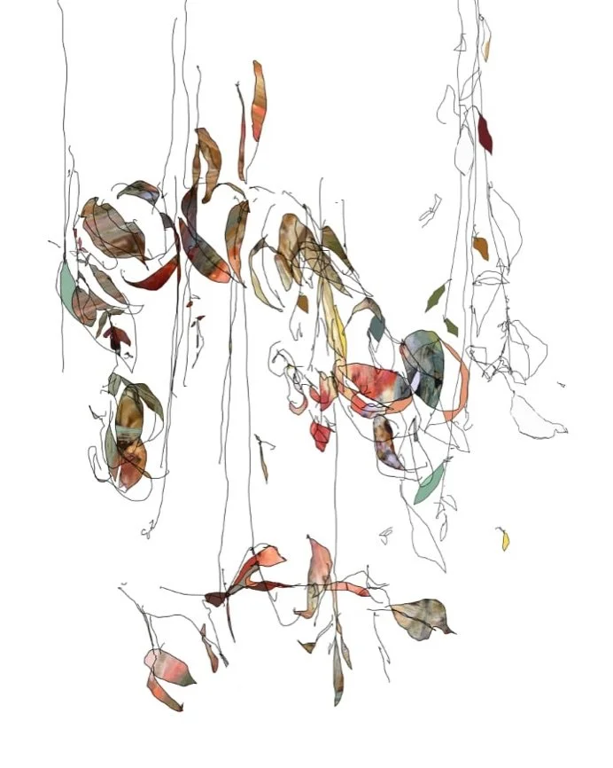  Vines, El Capitan, 2020 
  
archival pigment on Hahnemuhle paper 
19.2 x 24 in. (image) 
20.2 x 25 in. (sheet) 
Edition of 20 with 2 AP's 
Published by Streetside Press
  
For more information, contact the artist 