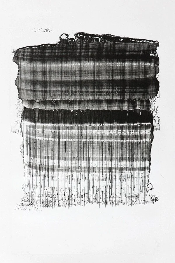  Dress Like Rain 
  
monoprint in Rives BFK paper 
17-3/4 x 10-13/16 in. (image) 
18-3/4 x 16-13/16 in. (sheet)
  
Private collection