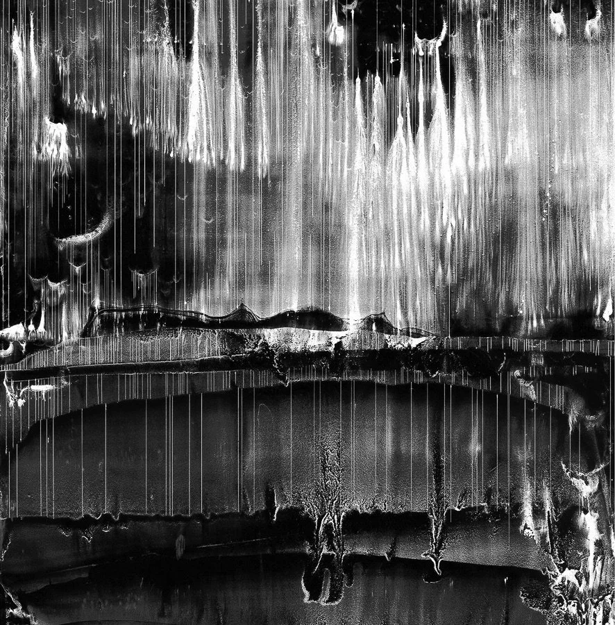  In Silence 
  
monoprint in Rives BFK paper 
11-3/4 x 10-7/8 in. (image) 
18-3/4 x 16-7/8 in. (sheet)
  
Private collection