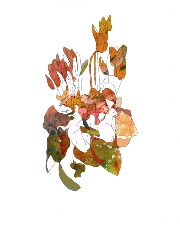  In Quarantine, Cyclamen, 2020 
  
archival pigment on Hahnemuhle paper 
12.78 x 16 in. (image) 
13.78 x 17 in. (sheet) 
Edition of 20 with 2 AP's 
Published by Streetside Press
  
For more information, contact the artist 