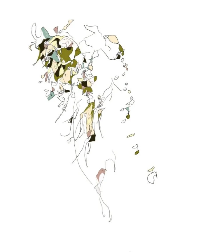  Vines, Cherry Valley, 2020 
  
archival pigment on Hahnemuhle paper 
10.6 x 13.3 in. (image) 
11.6 x 13.3 in. (sheet) 
Edition of 20 with 2 AP's 
Published by Streetside Press
  
For more information, contact the artist 