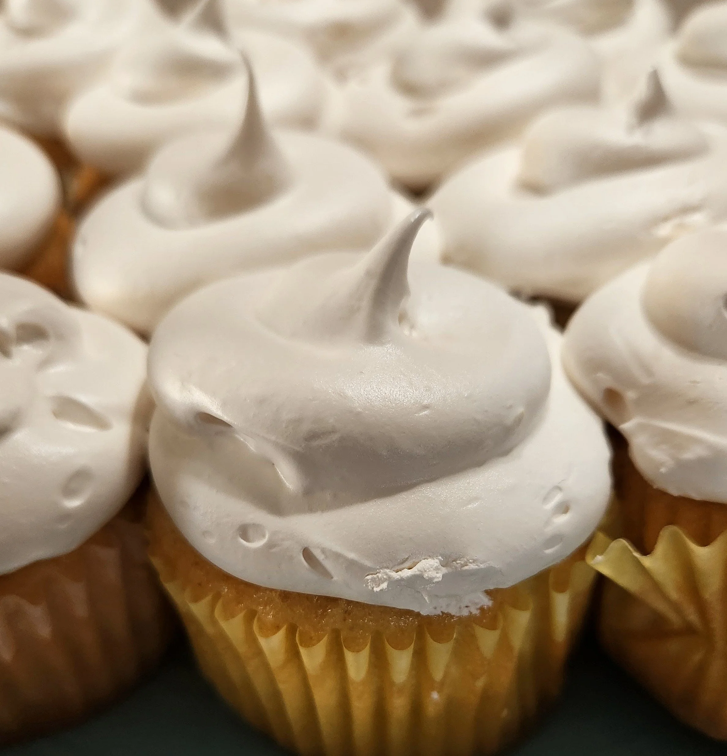 Cupcakes (1 dozen)
