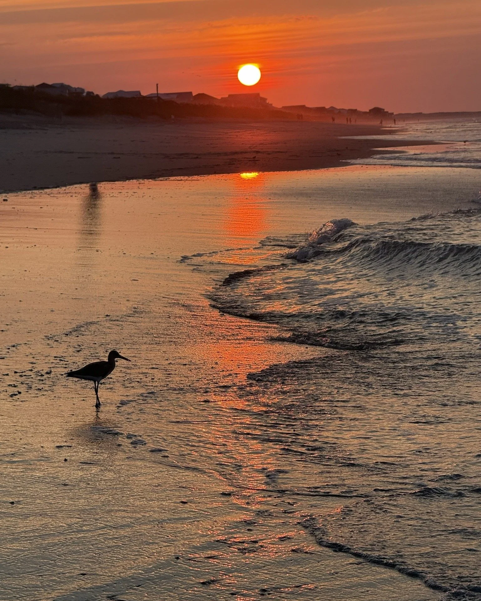 Lilly Bird&rsquo;s started with a deep love for this place.

We&rsquo;re North Carolina natives and proud to call Brunswick County our forever home.
After a lifetime spent along these shores, we wanted to create something that reflects what makes thi