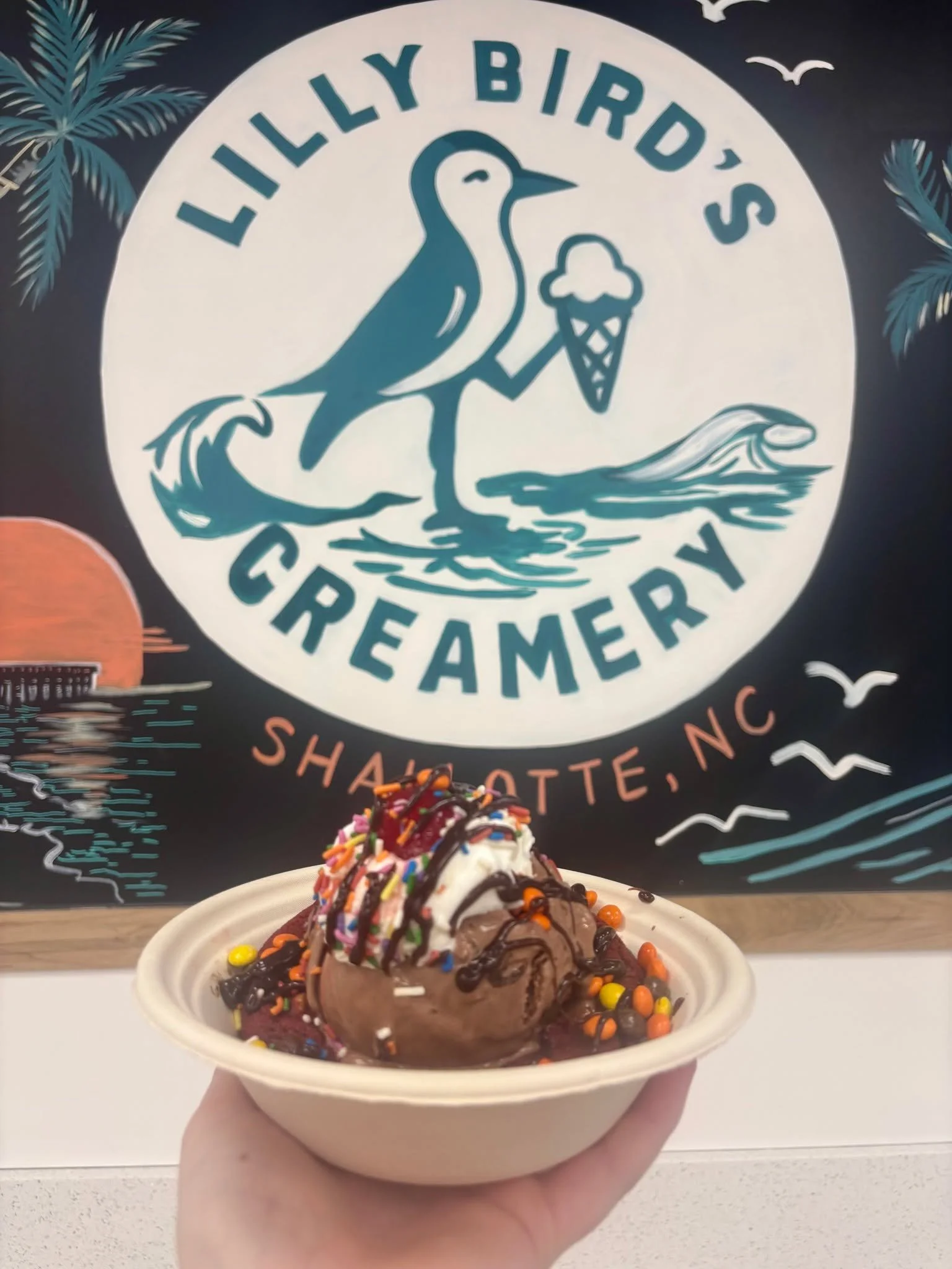We&rsquo;ve got your sundae plans&hellip;

Homemade ice cream on a warm cookie or brownie, with all the toppings to make it as classic (or as extra) as you&rsquo;d like. Choose from:

Dye-free sprinkles
Nuts
Fruit
Candies
Hot fudge
Caramel
Whipped cr