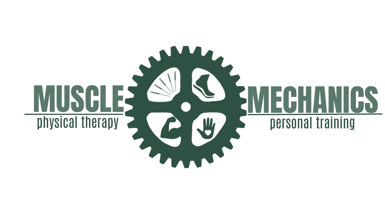 Muscle Mechanics 