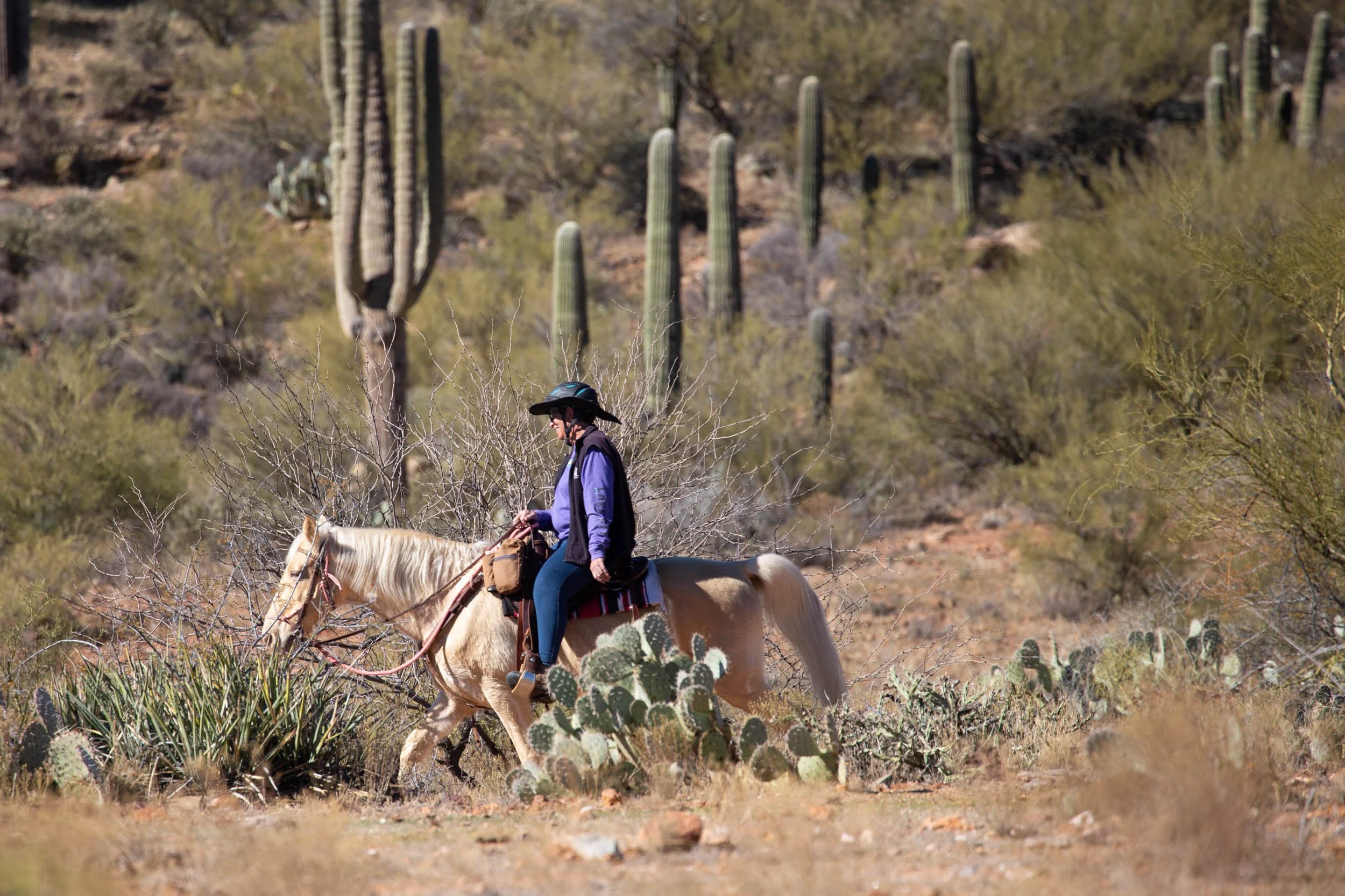 IMG_0227 - Copy - Copy - Copy.jpg