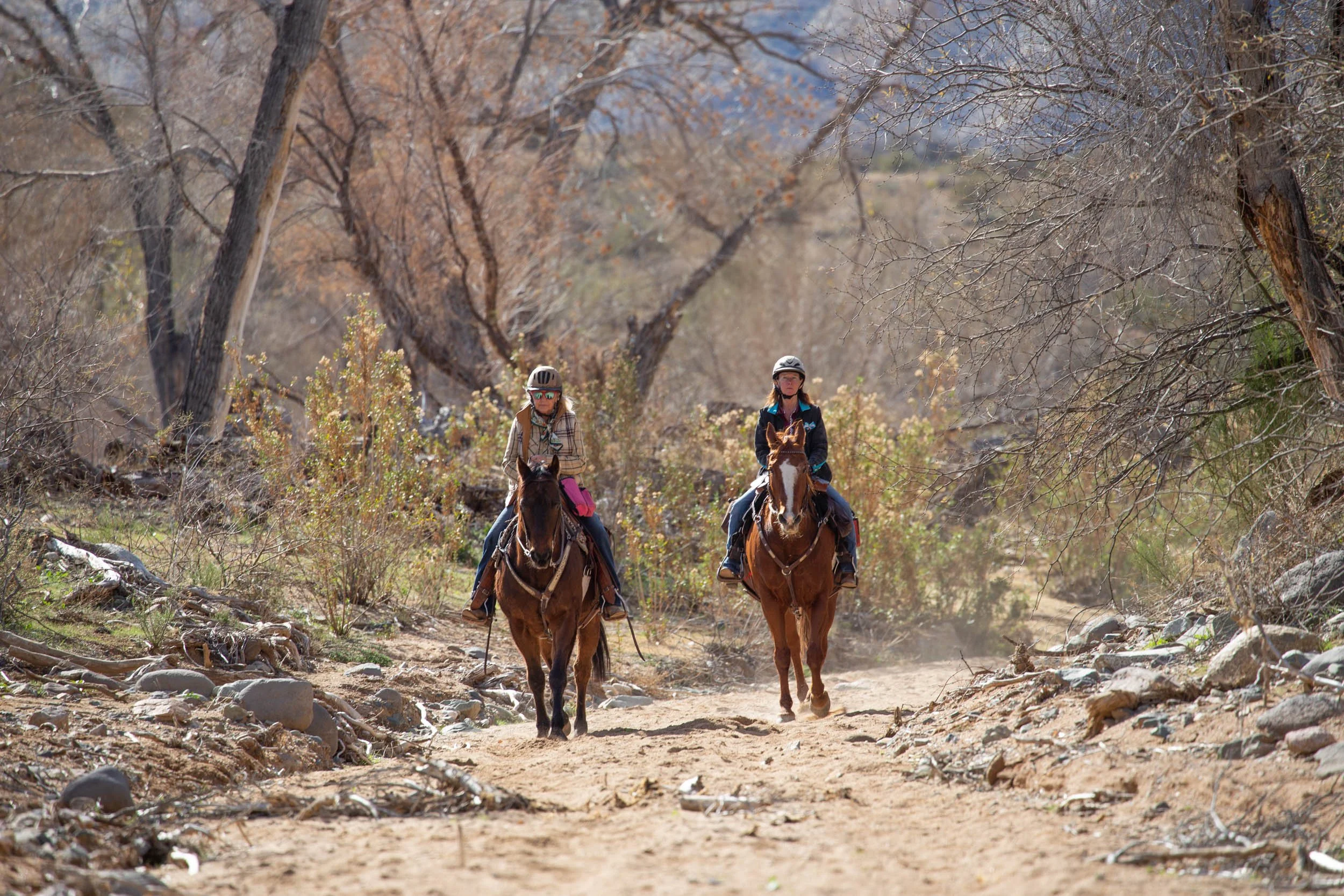 IMG_0591 - Copy - Copy.jpg