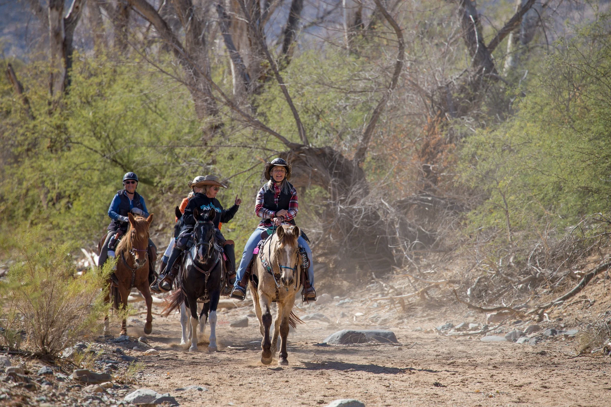 IMG_0263 - Copy - Copy.jpg