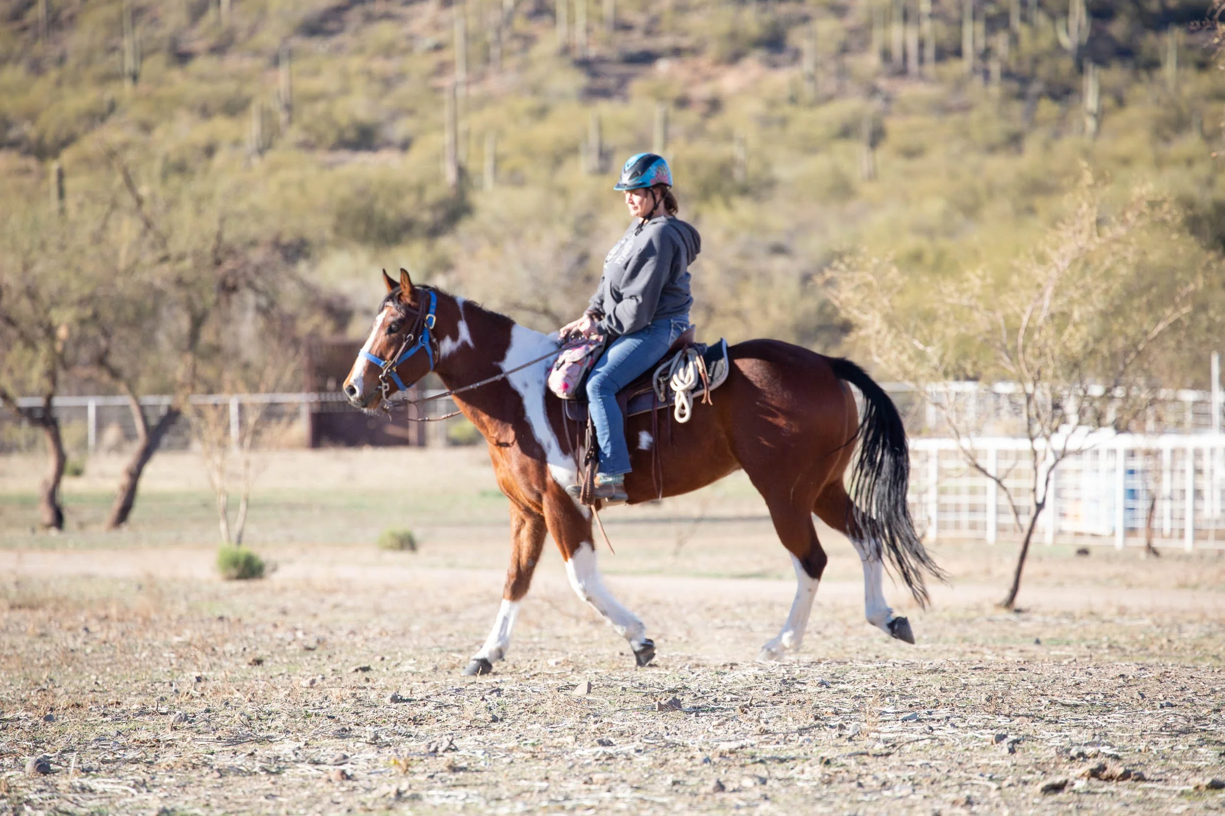 IMG_0047 - Copy - Copy - Copy.jpg