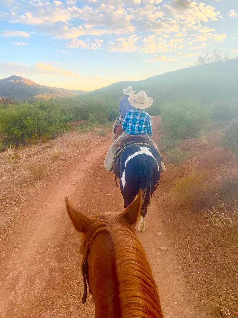 Companion Rider (7 years and older) - SATURDAY