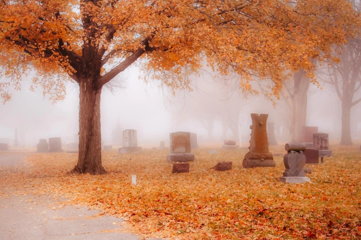Every stone holds a story, every name a life once lived. The quiet speaks loudest here. #StenkaPhotography #NebraskaPhotography #MoodyAesthetic #CemeteryScenes #HiddenBeauty CaptureTheMoment LensLife PhotographyInNebraska ExploreWithMe