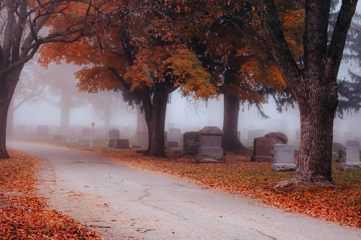 There&rsquo;s something powerful about photographing cemeteries in the fog. The silence, the color, the stillness&mdash;everything slows down and becomes a story you can feel through the lens. Autumn always knows how to set the scene.
#CemeteryPhotog