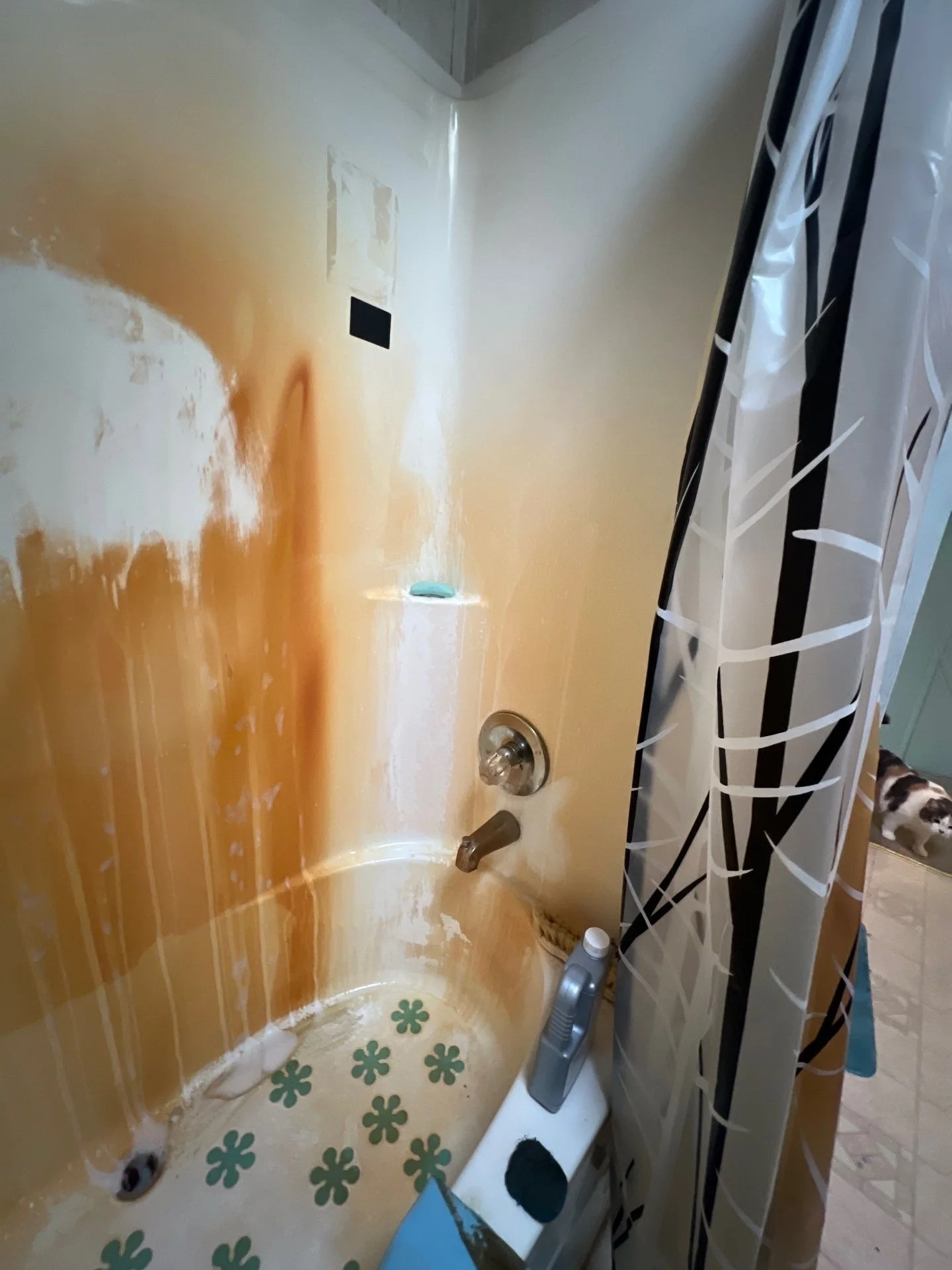 Hard water stains on tub and shower before cleaning