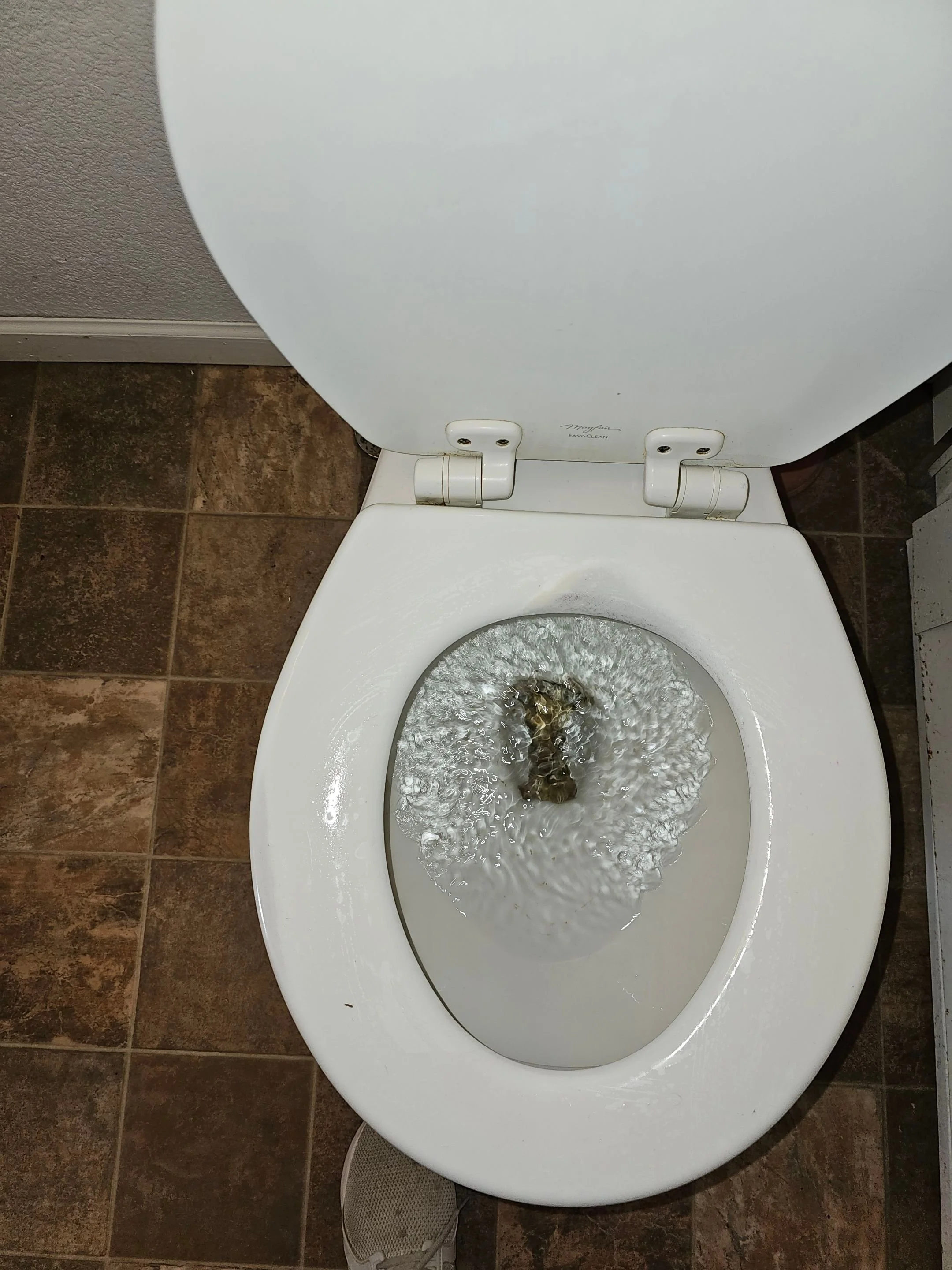 Lots of elbow grease to this toilet bowl during a deep clean in Ladysmith Wisconsin