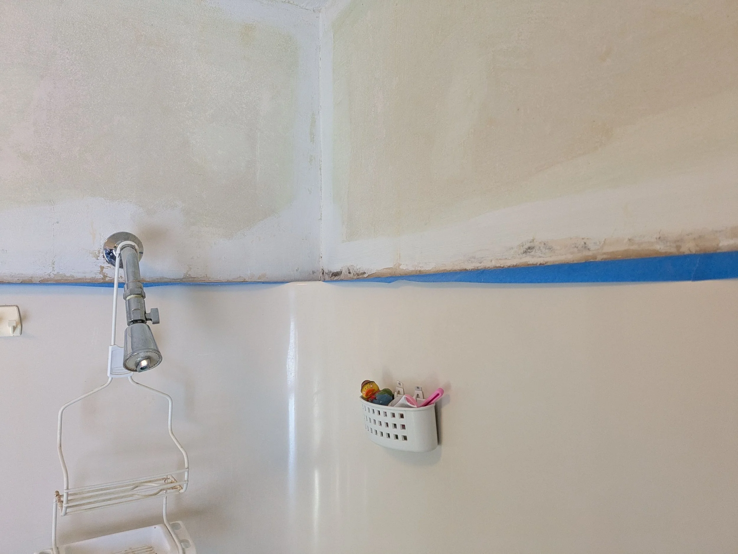 Shower drywall mold and rot Barefoot Painter LLC repaired
