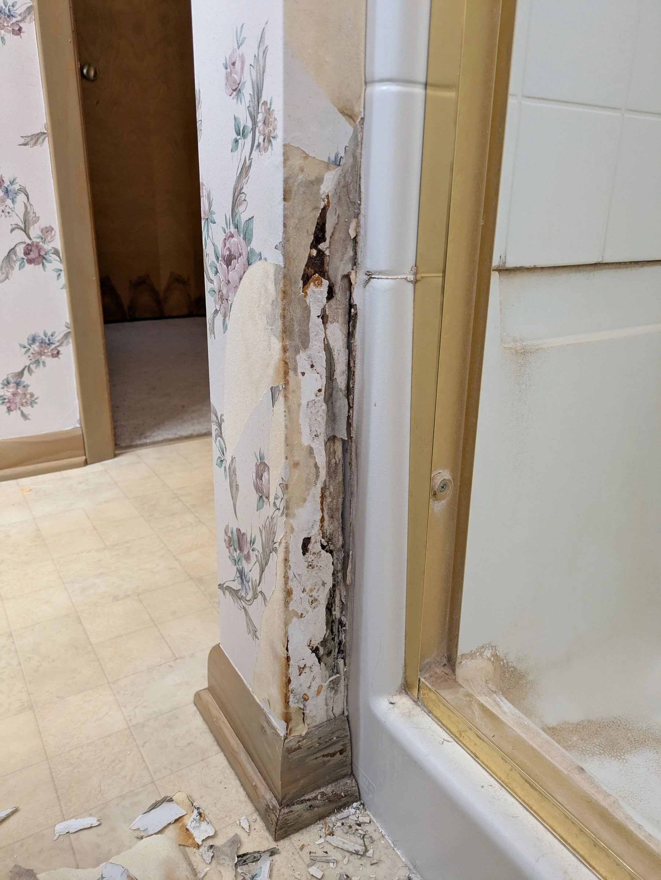 Rotted drywall found when Barefoot Painter LLC was removing wallpaper during bathroom makeover in Ladysmith Wisconsin Northern Wisconsin