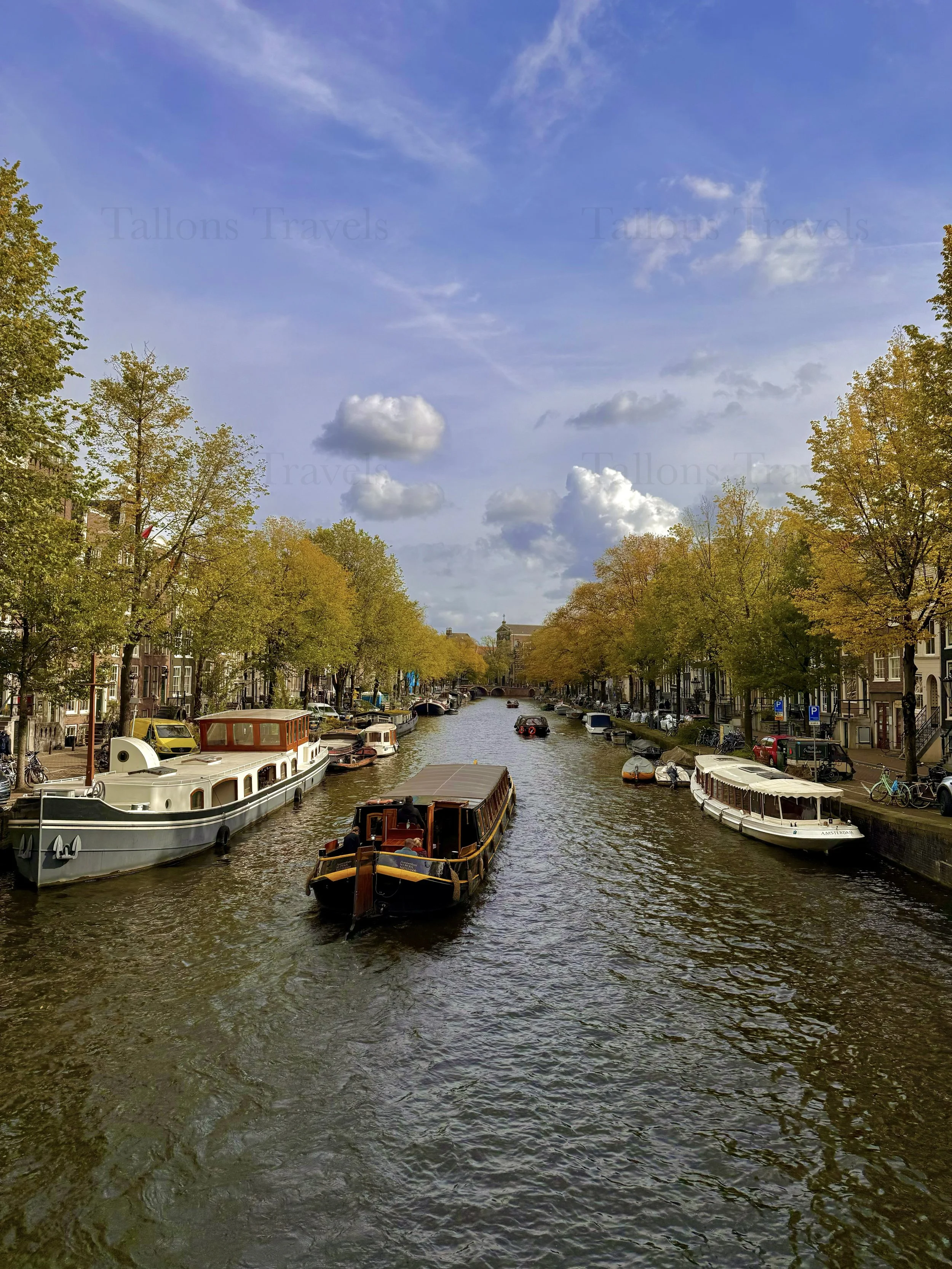 eZy Watermark_23-01-2026_11-38-30-7710AM.jpg