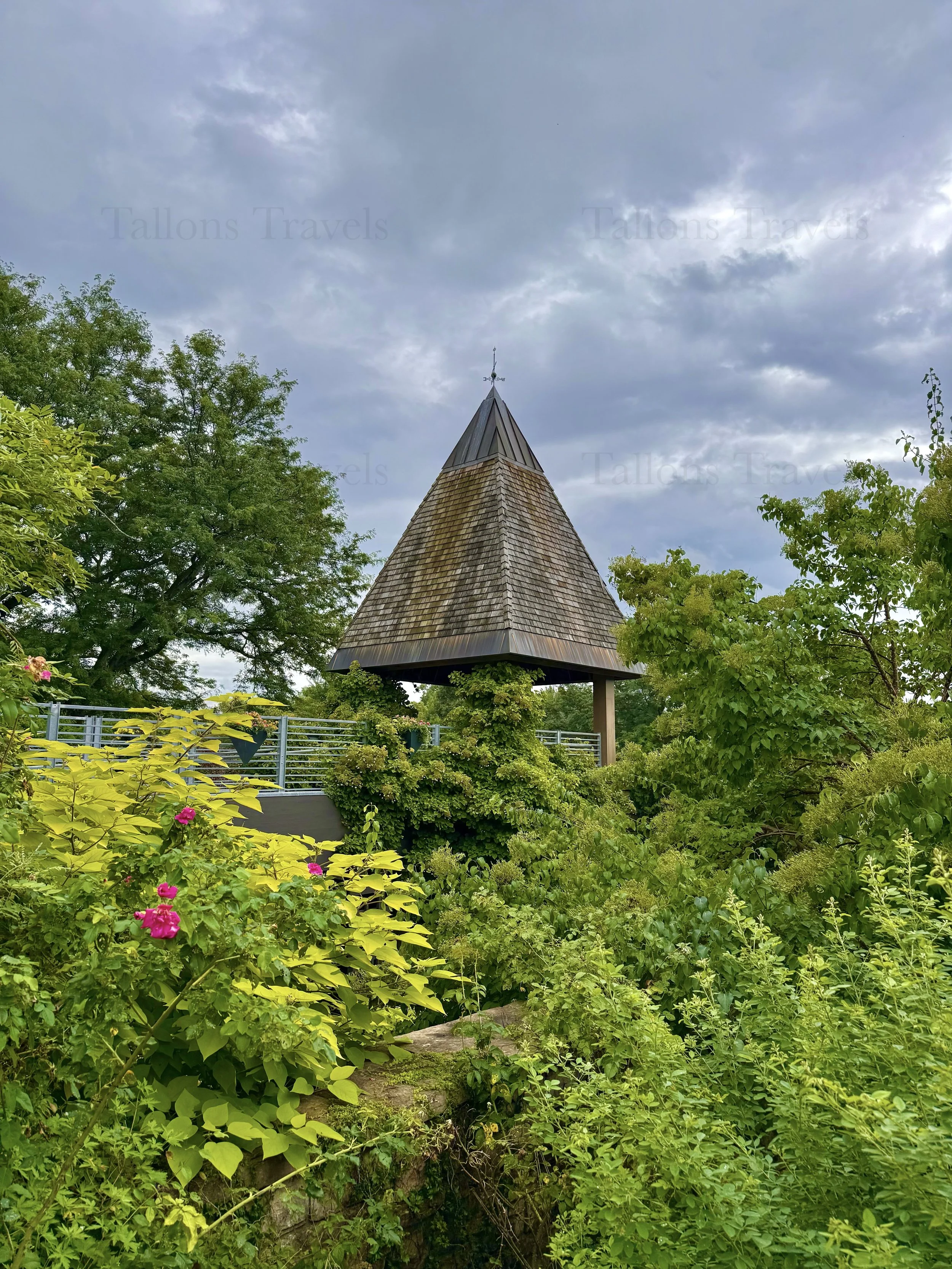 eZy Watermark_23-01-2026_10-39-15-5790PM.jpg