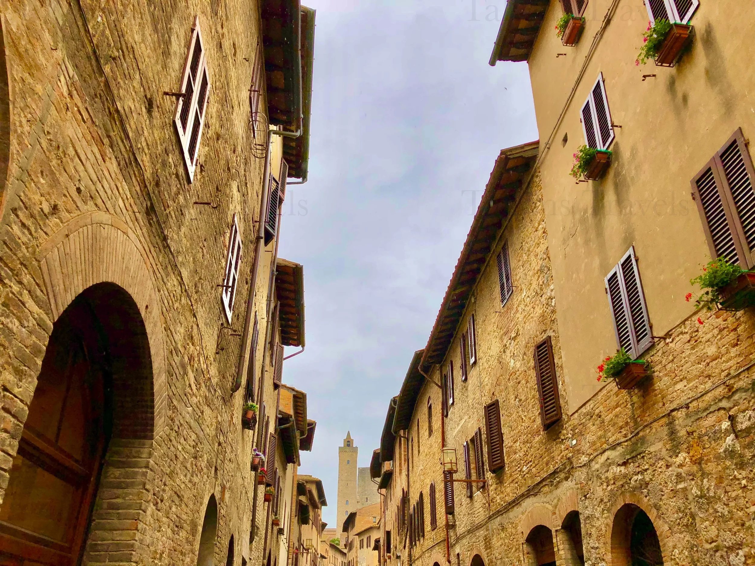 eZy Watermark_24-01-2026_08-09-50-5770PM.jpg