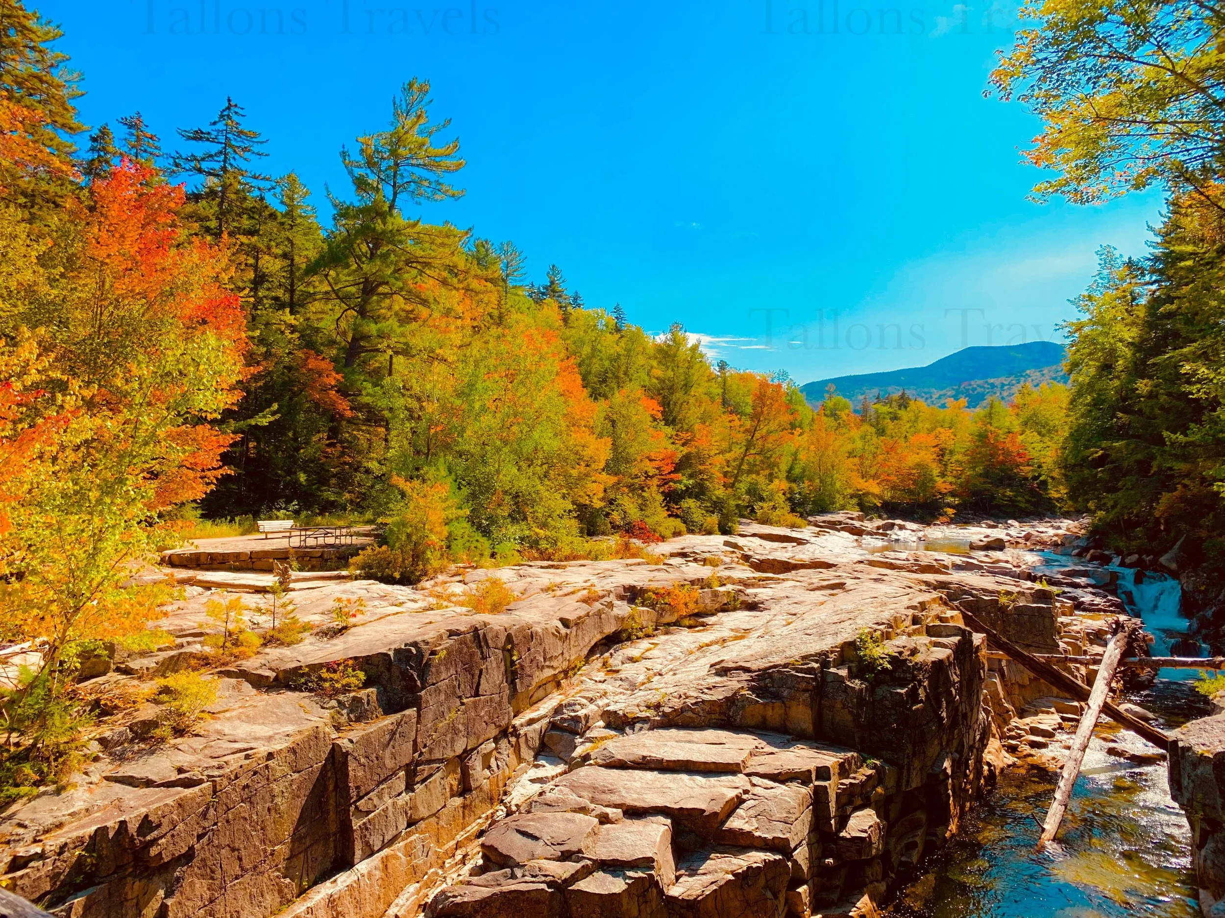 eZy Watermark_27-01-2026_10-00-01-3980PM.jpg