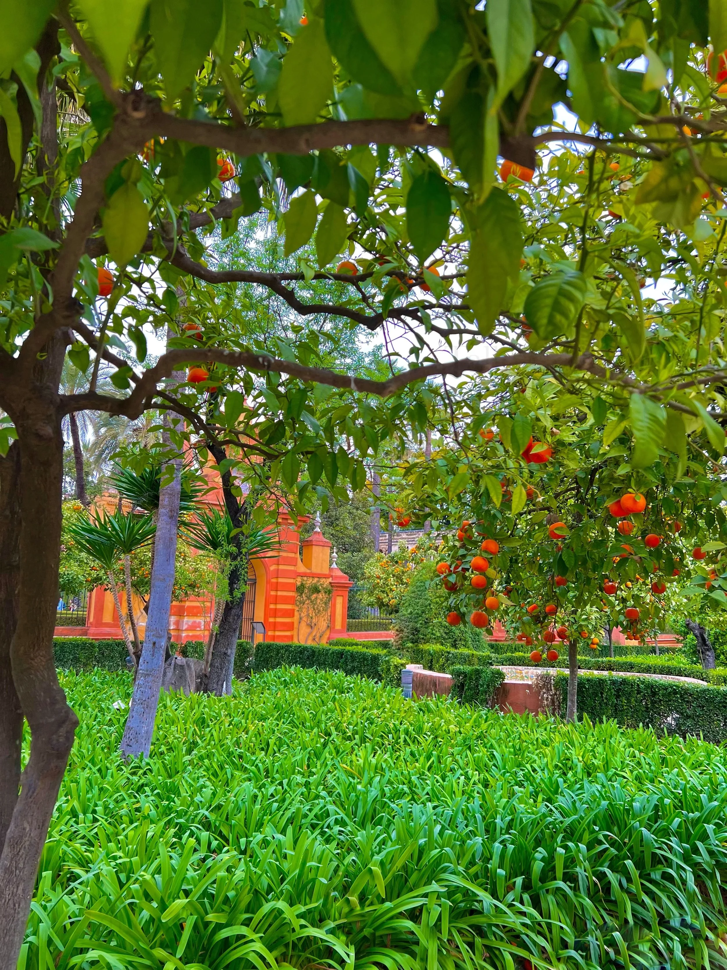 eZy Watermark_27-01-2026_09-22-01-2610PM.jpg