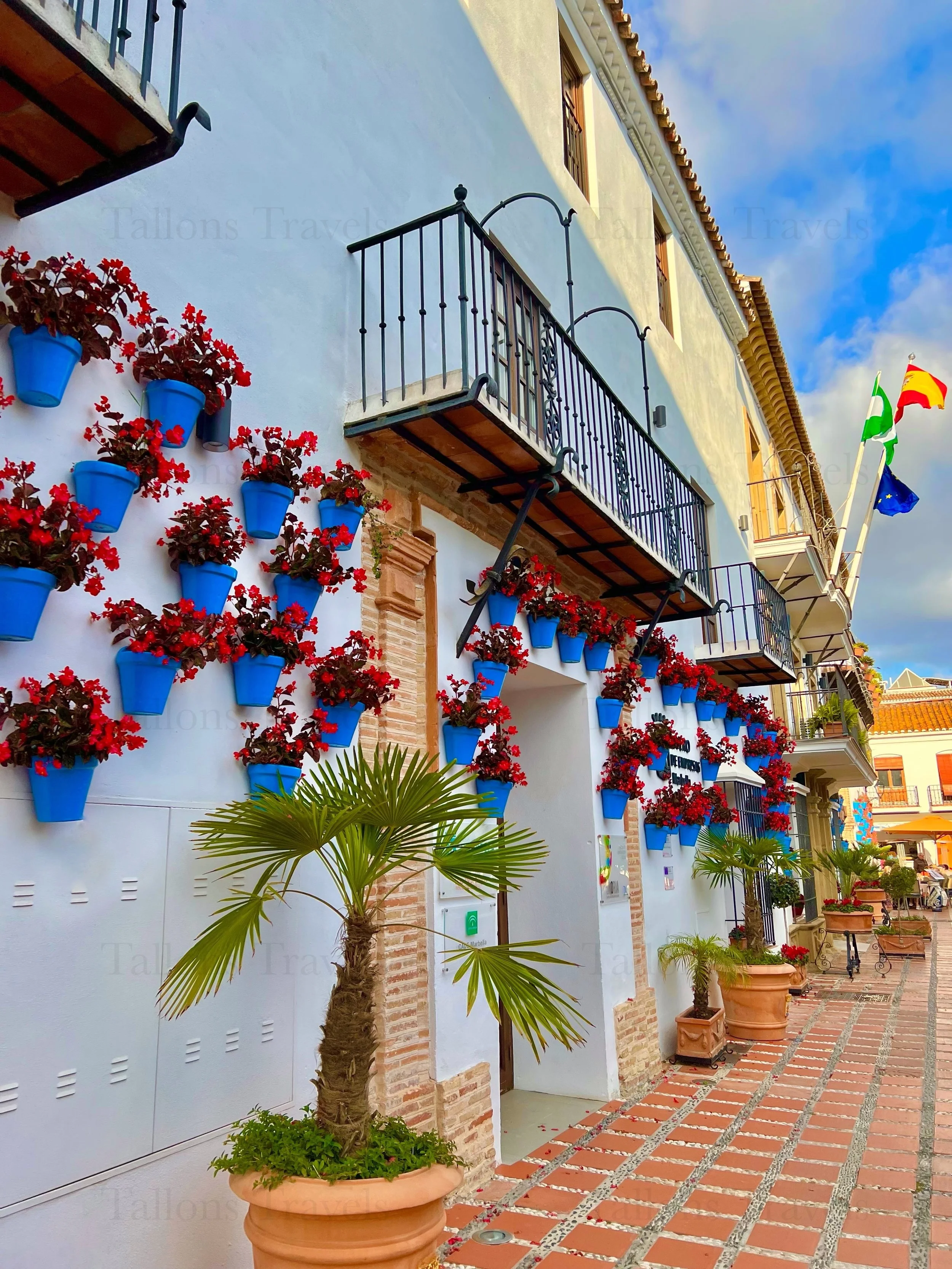 eZy Watermark_27-01-2026_09-21-10-8990PM.jpg