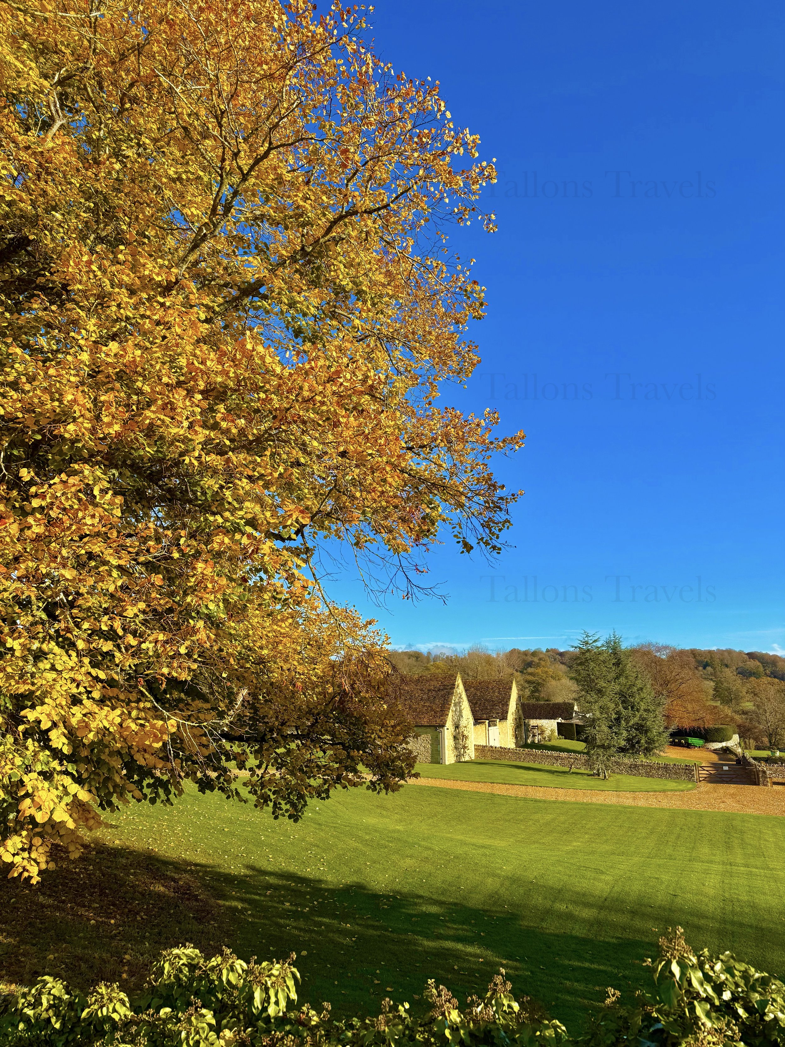 eZy Watermark_23-01-2026_11-26-49-4500AM.jpeg