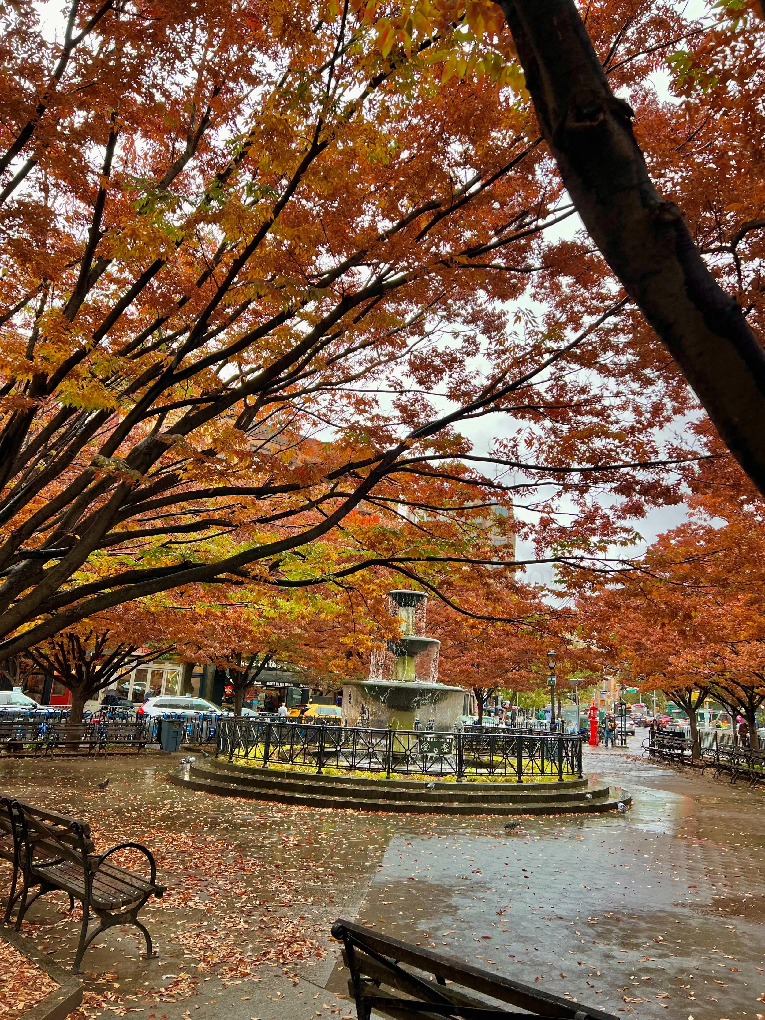 eZy Watermark_23-01-2026_11-19-50-6450PM.jpg