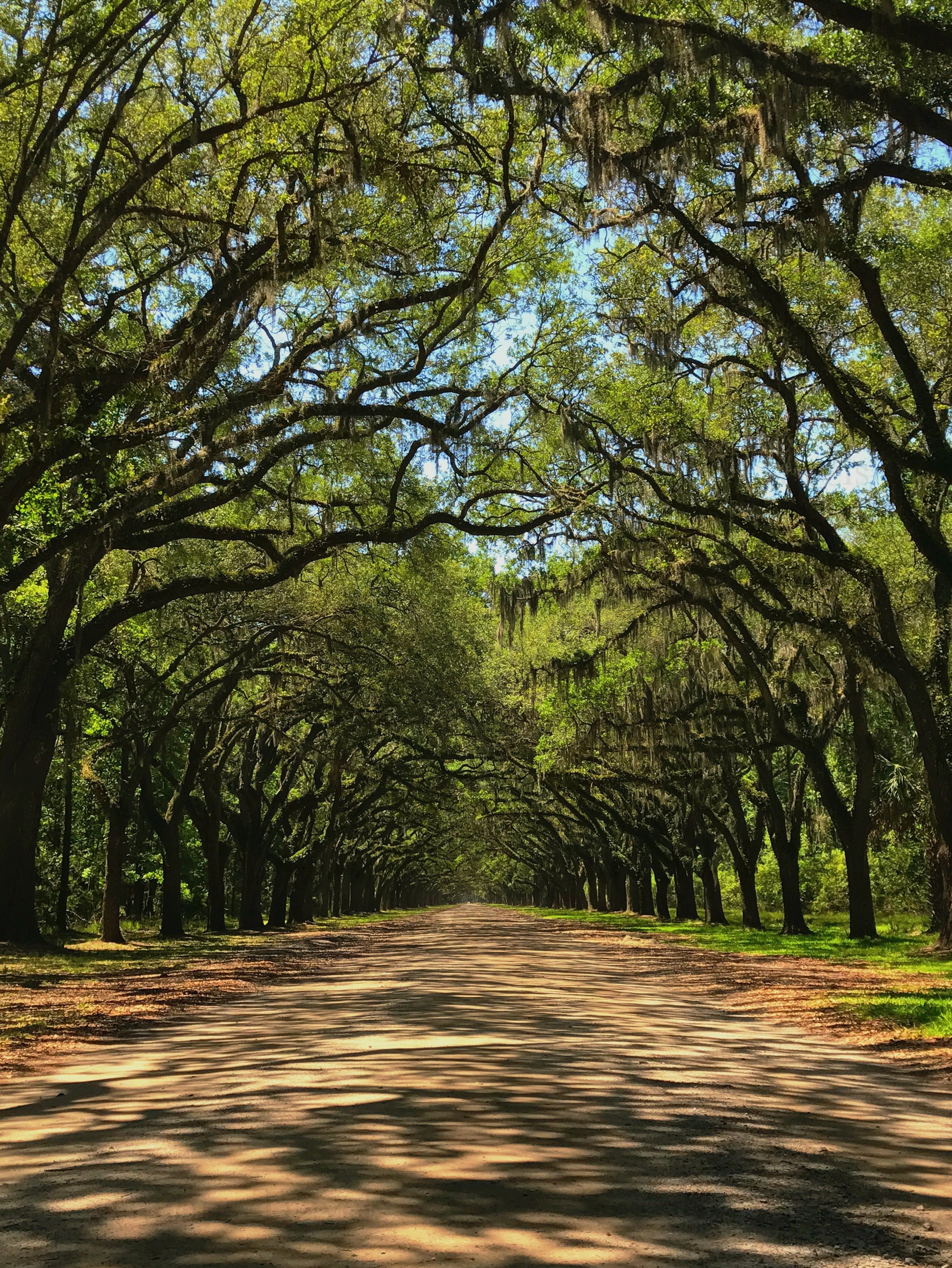 eZy Watermark_27-01-2026_10-07-52-6070PM.JPG