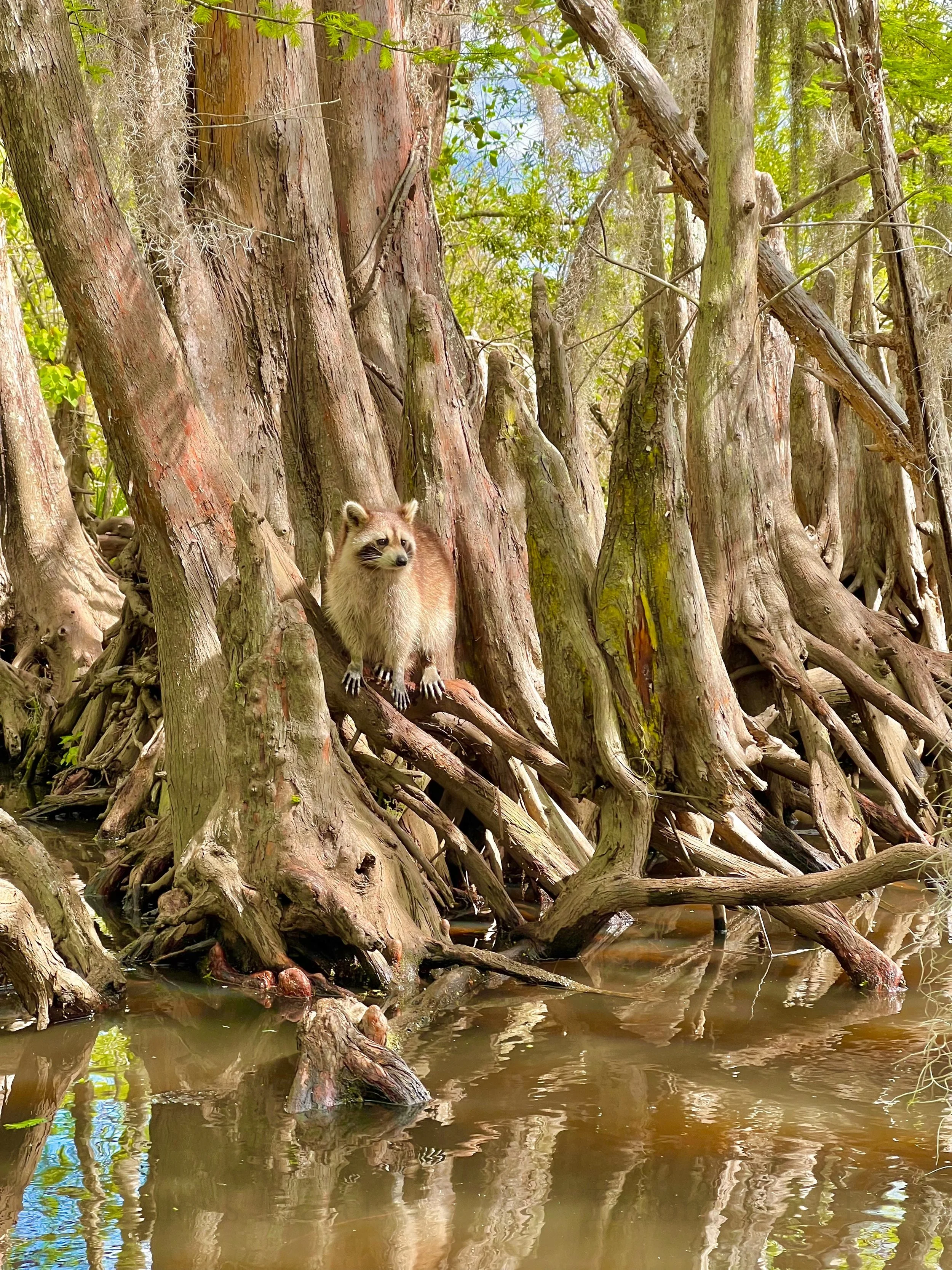 eZy Watermark_23-01-2026_09-25-38-1900PM.jpg