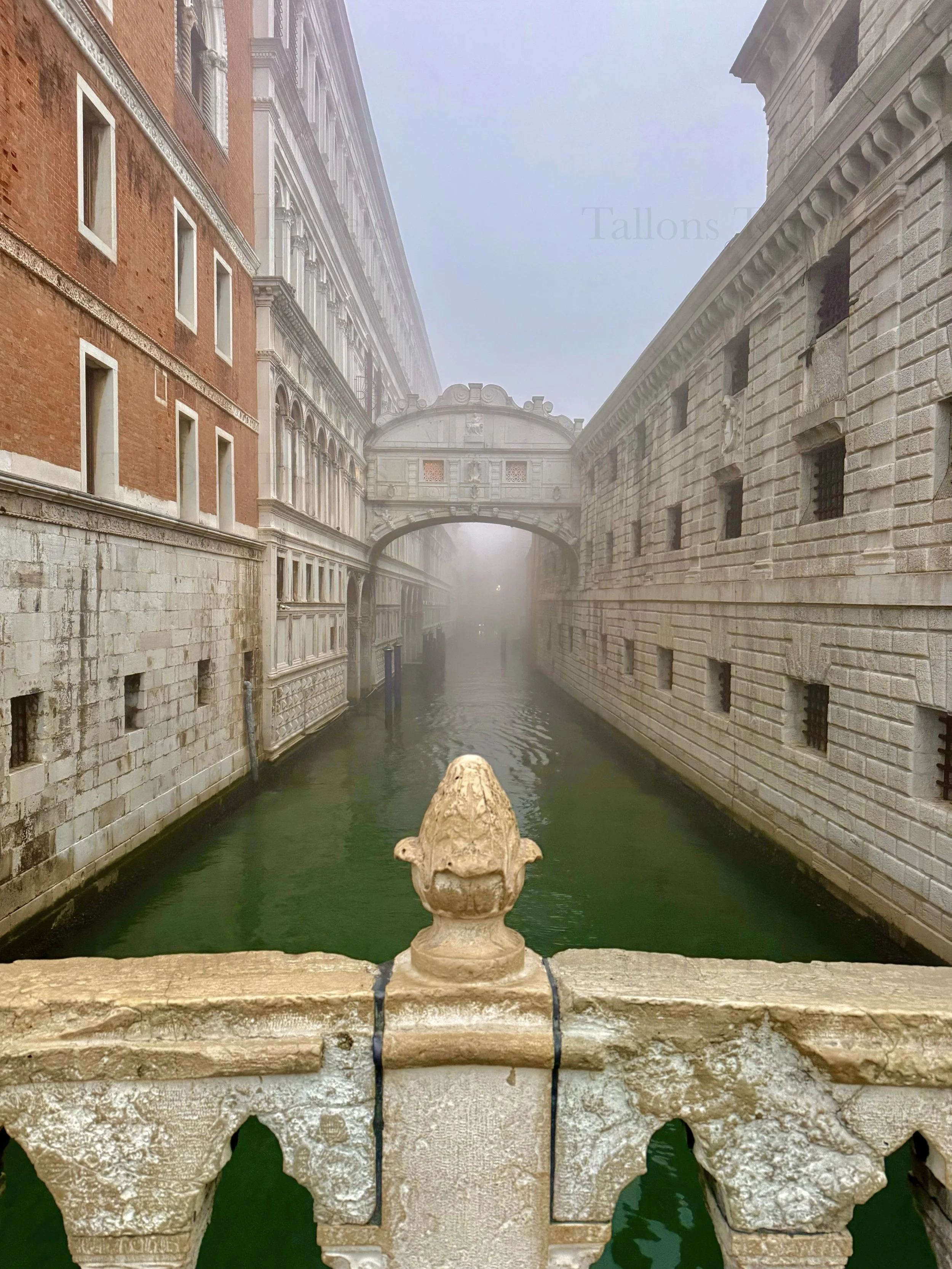 eZy Watermark_04-03-2026_06-29-53-9260PM.jpg