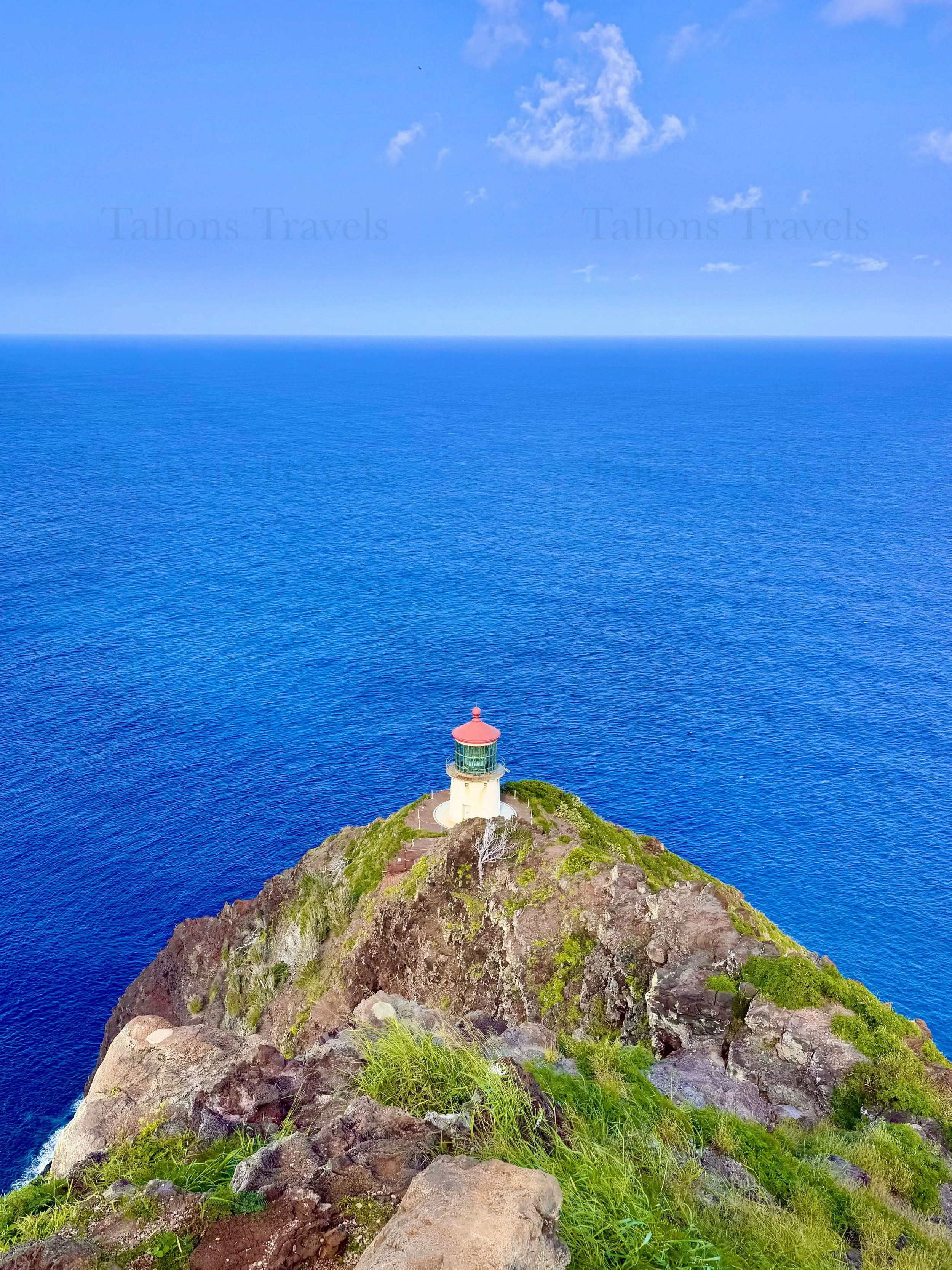 eZy Watermark_23-01-2026_10-20-05-0360PM.jpg