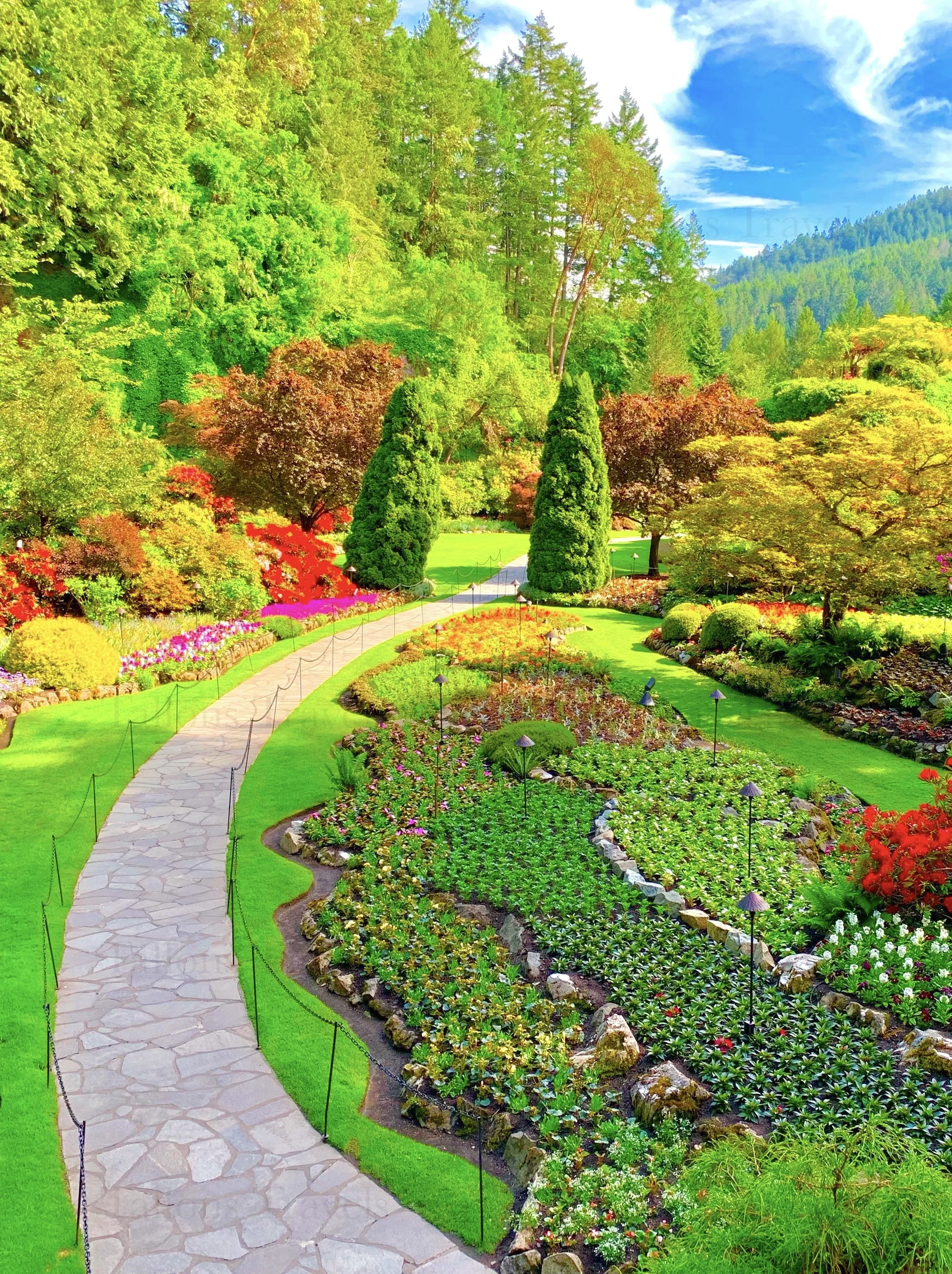 eZy Watermark_27-01-2026_09-11-28-8010PM.JPG