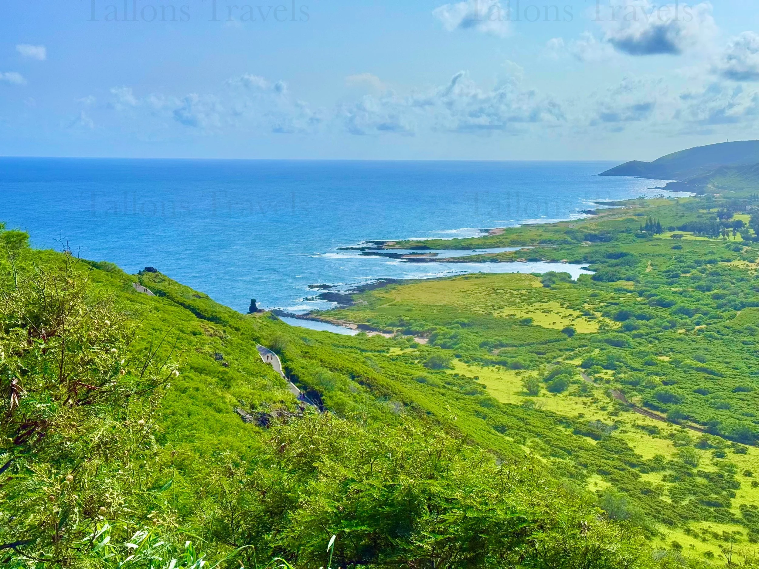 eZy Watermark_23-01-2026_10-19-54-7760PM.jpg