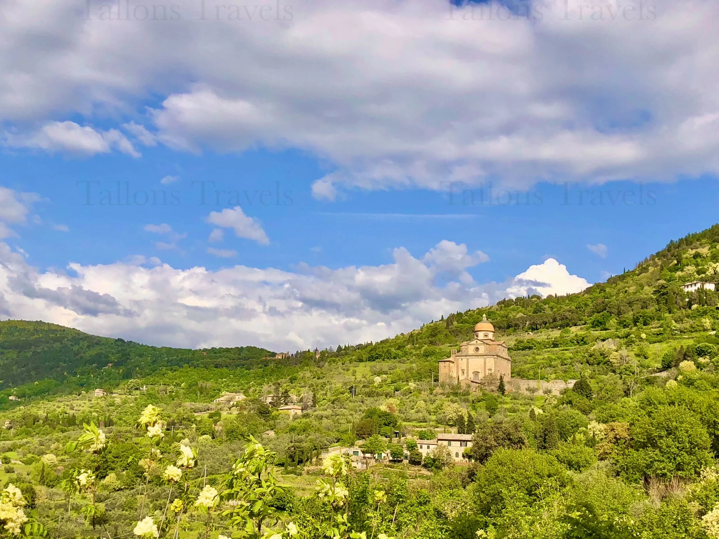 eZy Watermark_24-01-2026_08-09-38-4960PM.jpg