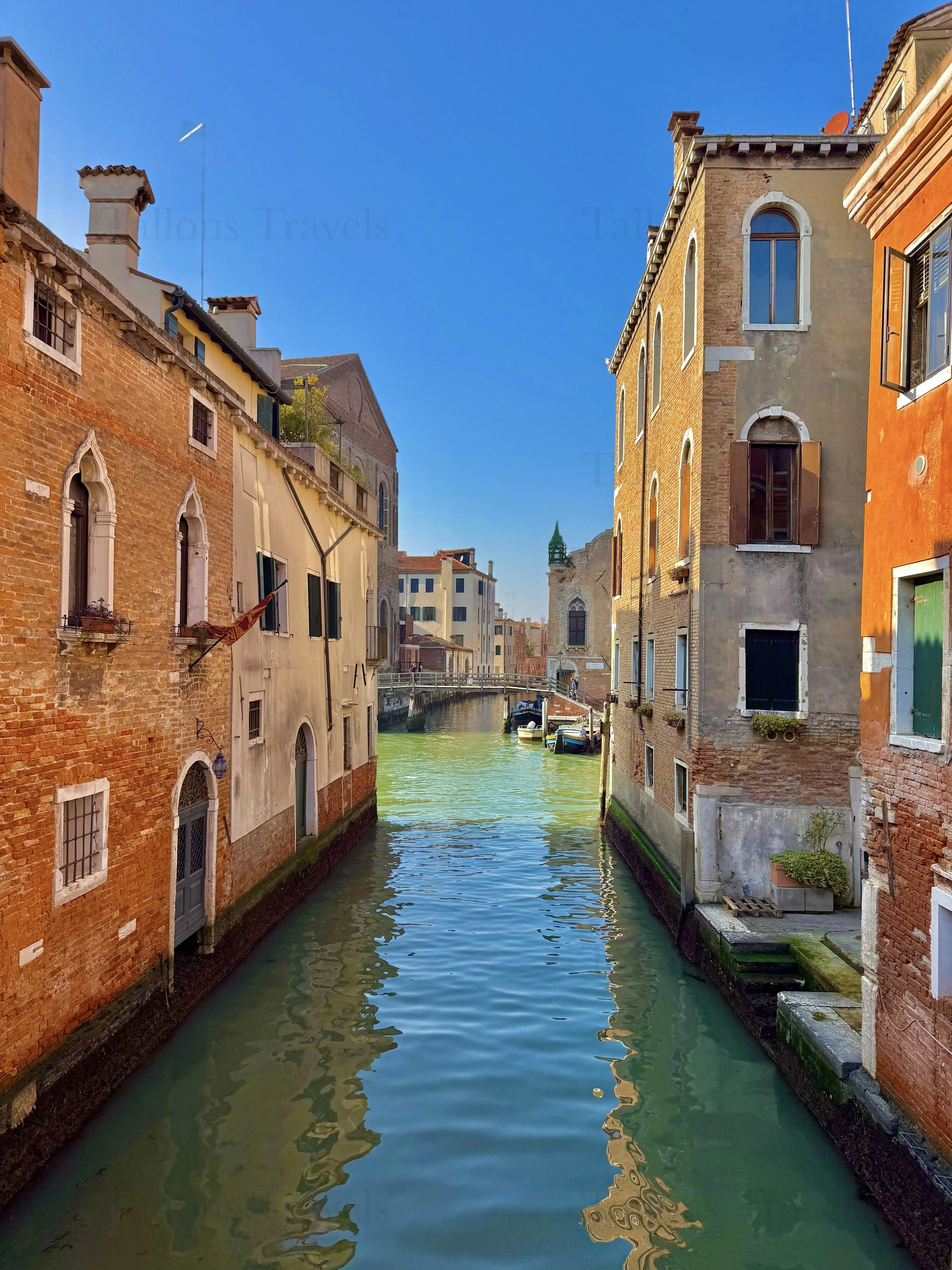 eZy Watermark_04-03-2026_06-29-02-0280PM.jpg