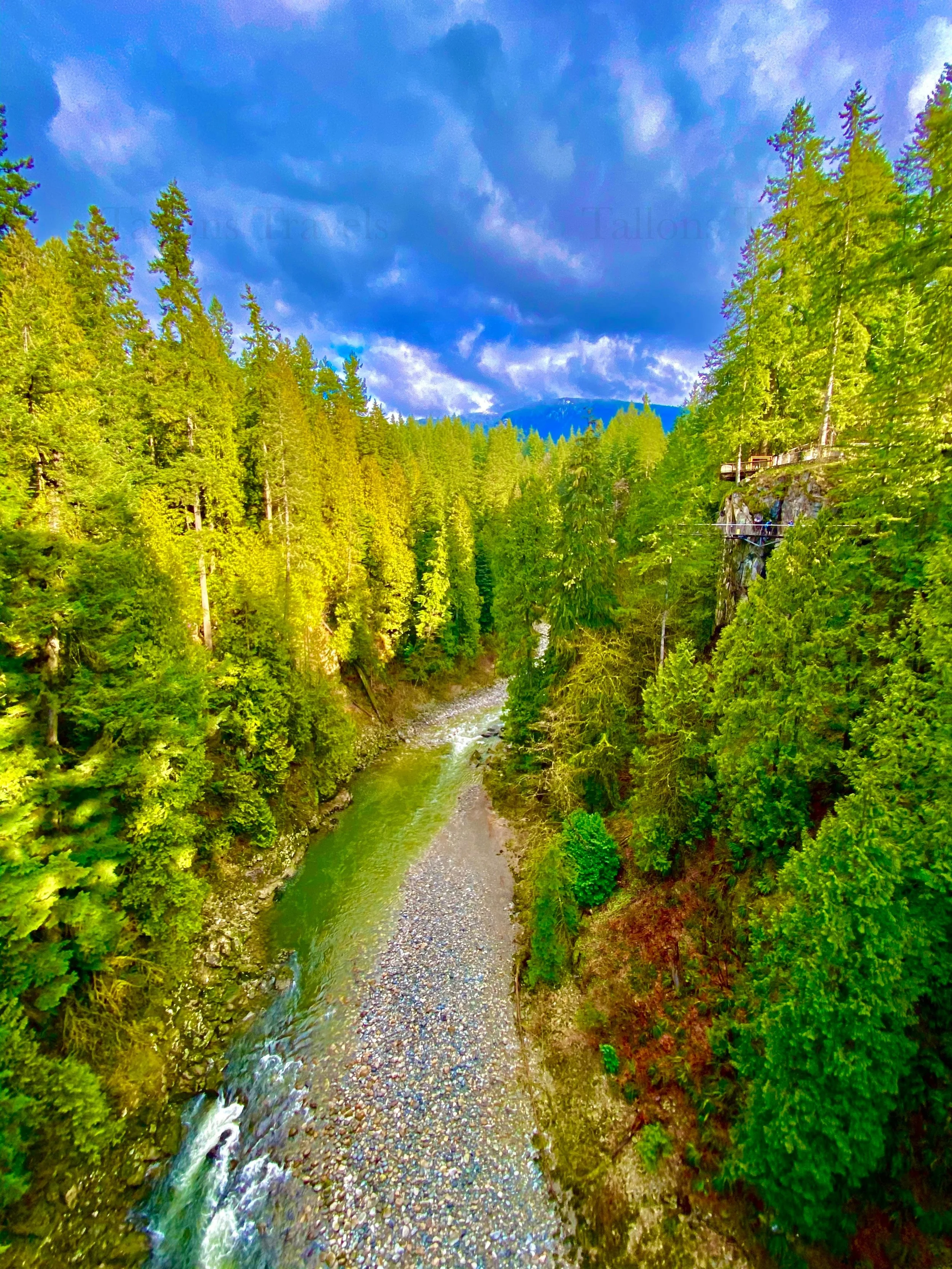 eZy Watermark_25-01-2026_03-28-36-6190PM.jpg